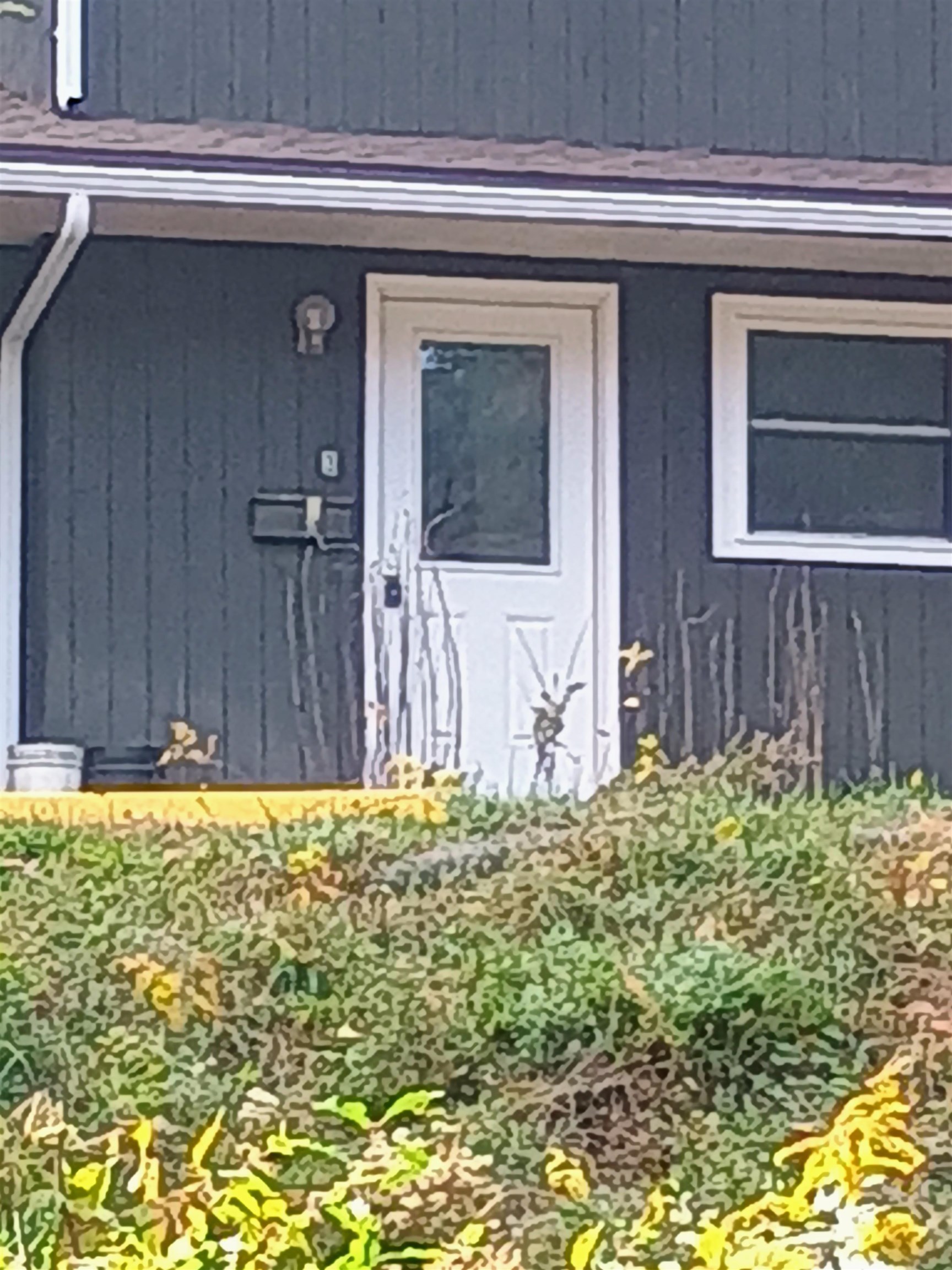 near 1177 Western Avenue Brattleboro, VT 05301 Property 1 near 1177 Western Avenue Brattleboro, VT 05301 Property 1