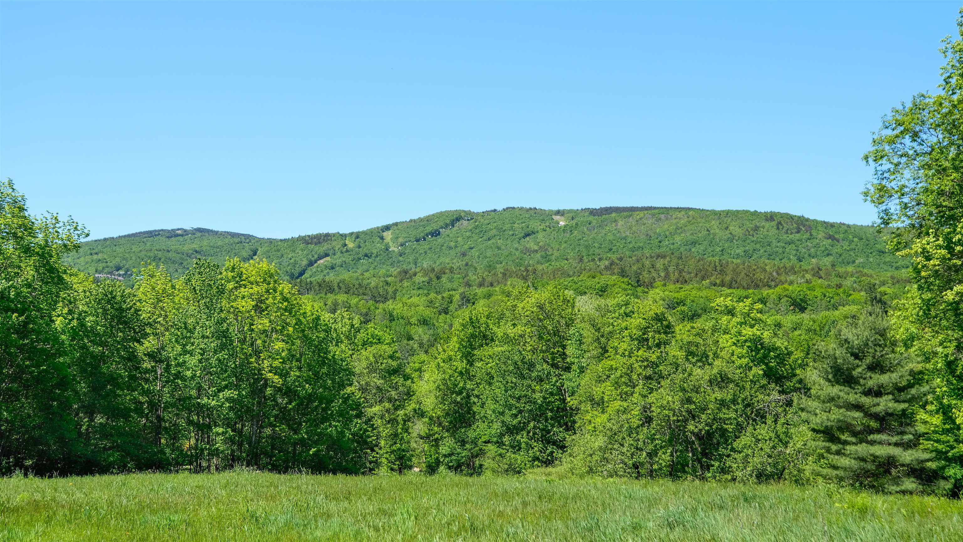 near Lot 48 Partridge Road Ludlow, VT 05149 Property 2