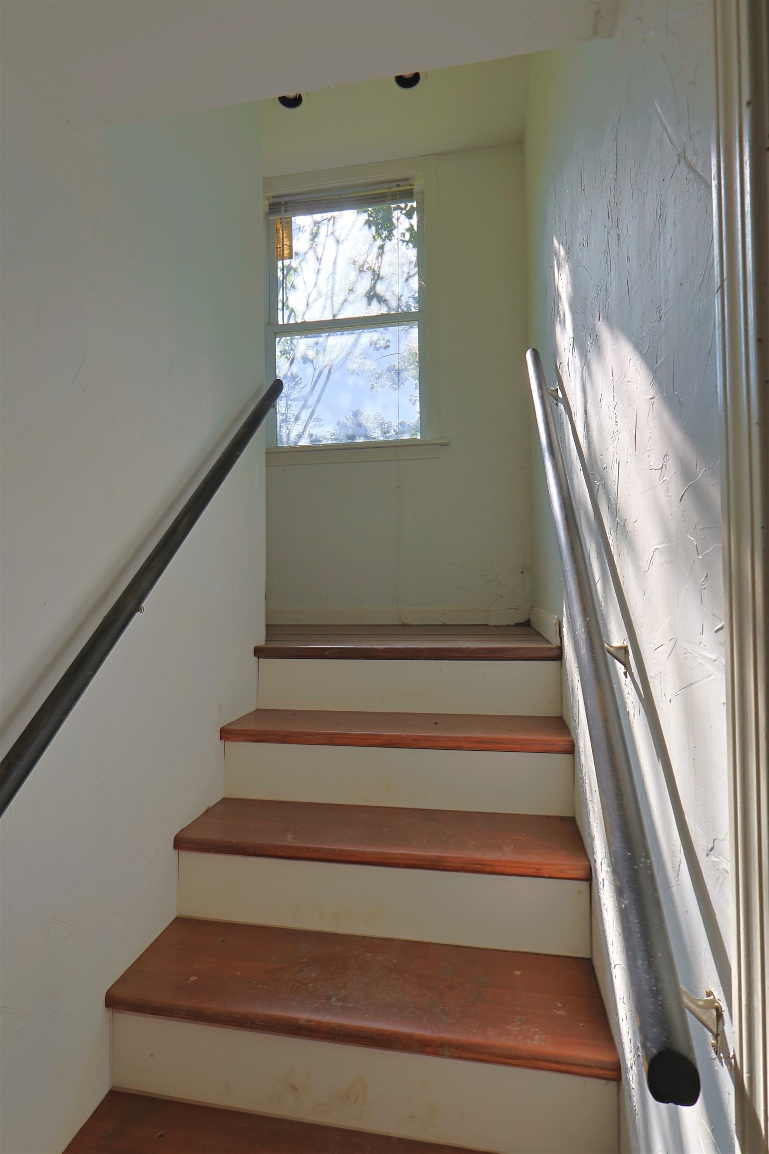 86 Brownsville Road photo 24