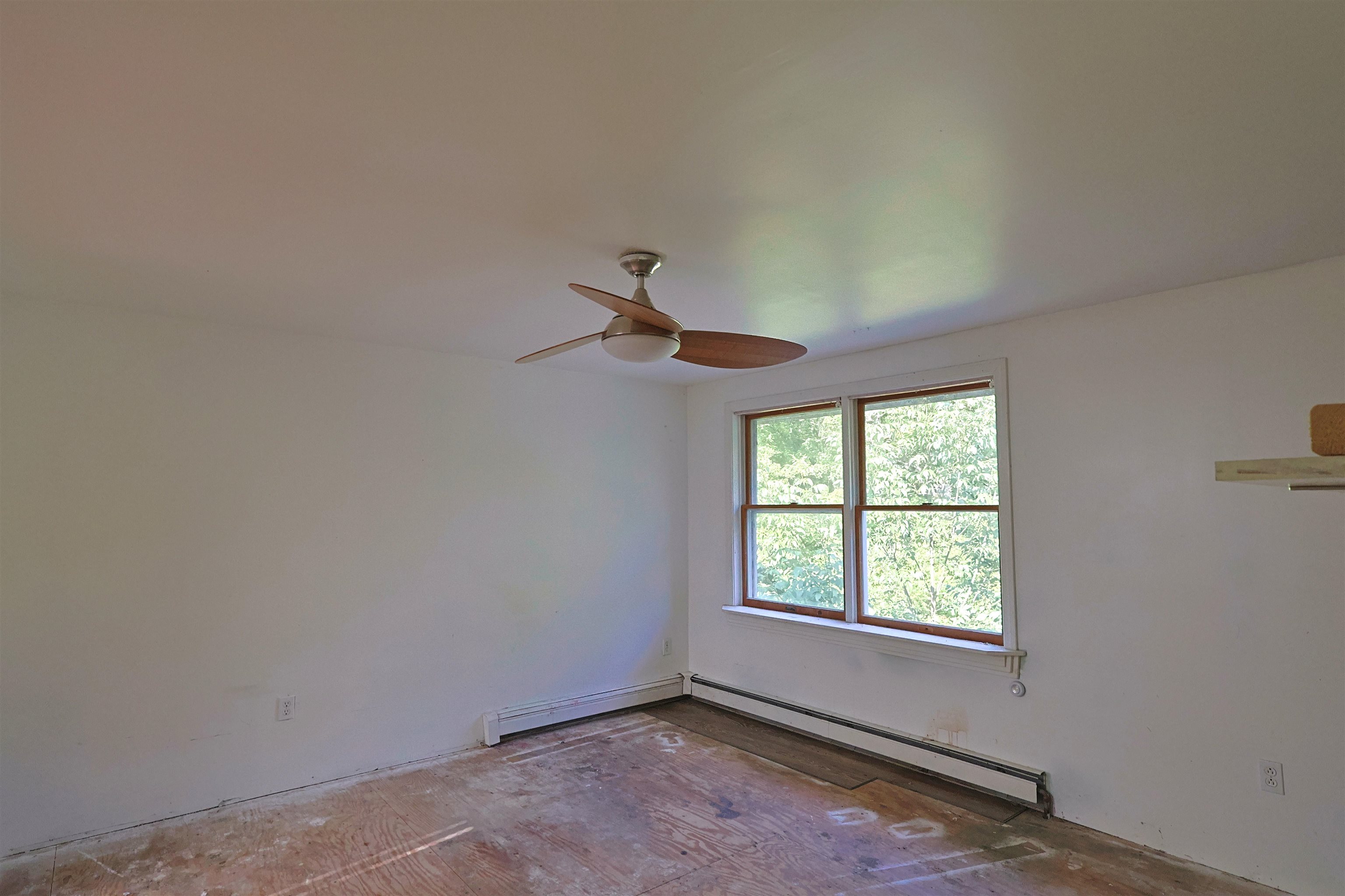 86 Brownsville Road photo 30