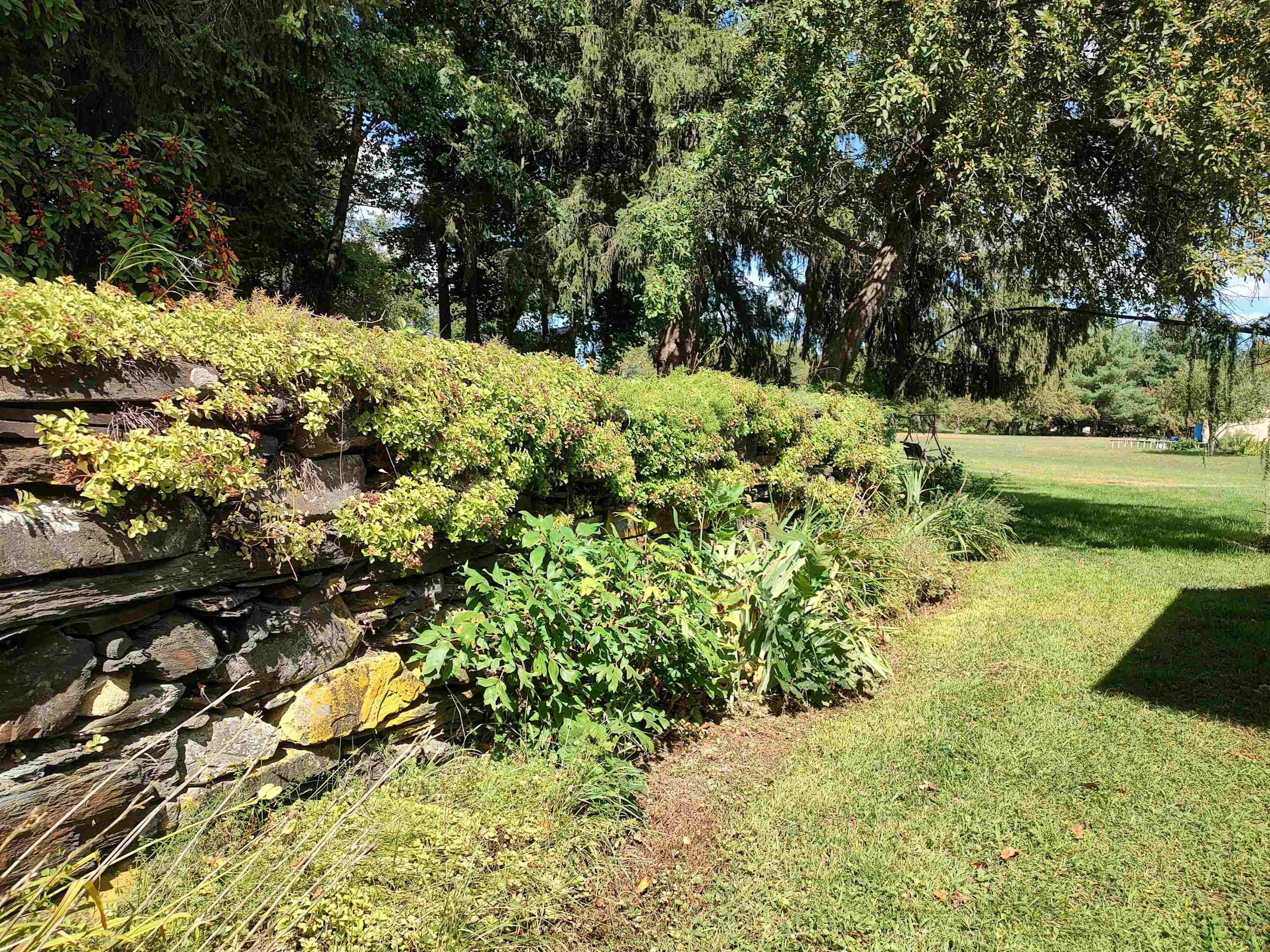 5 Greenhouse Avenue photo 31