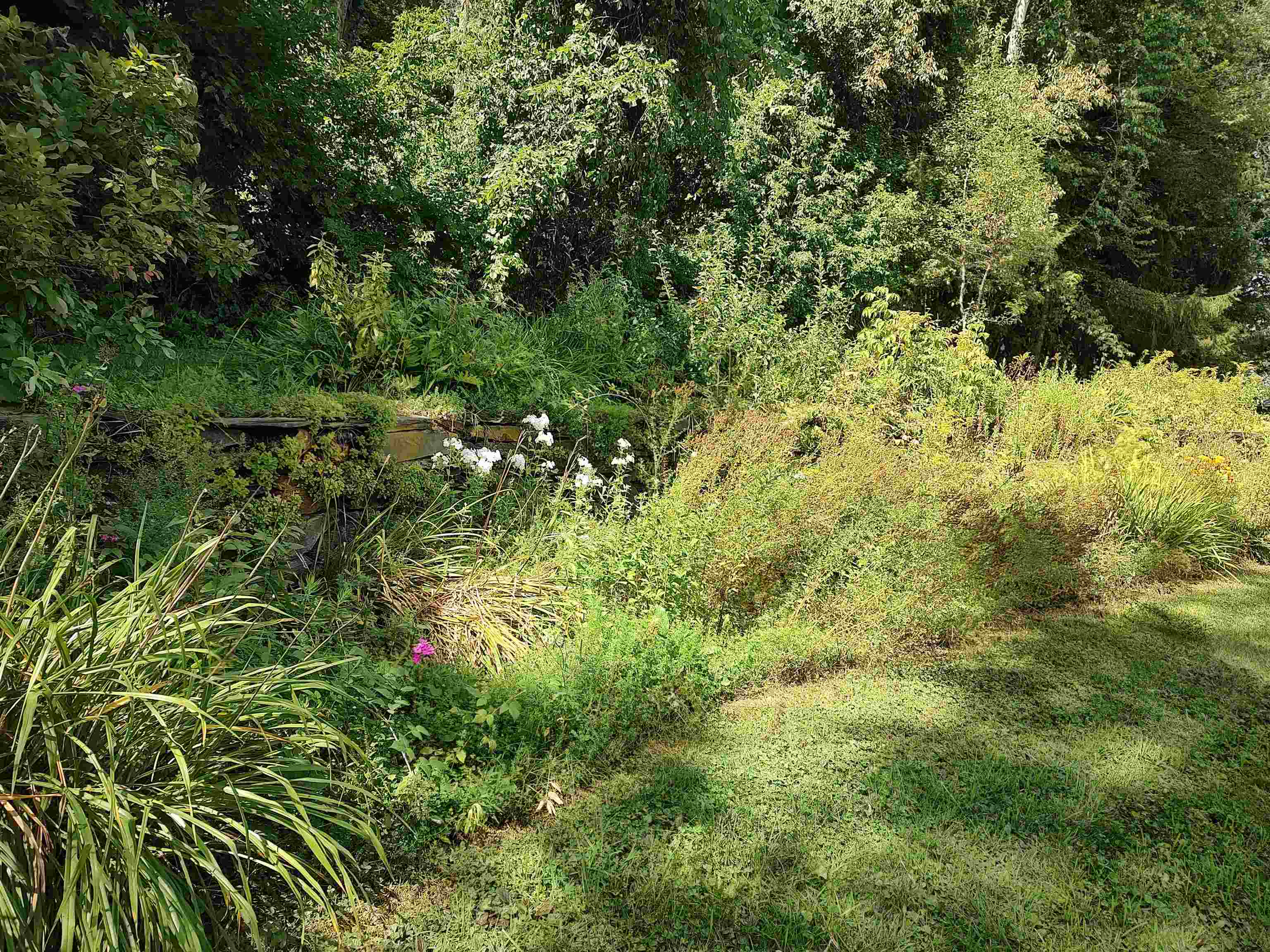 5 Greenhouse Avenue photo 32