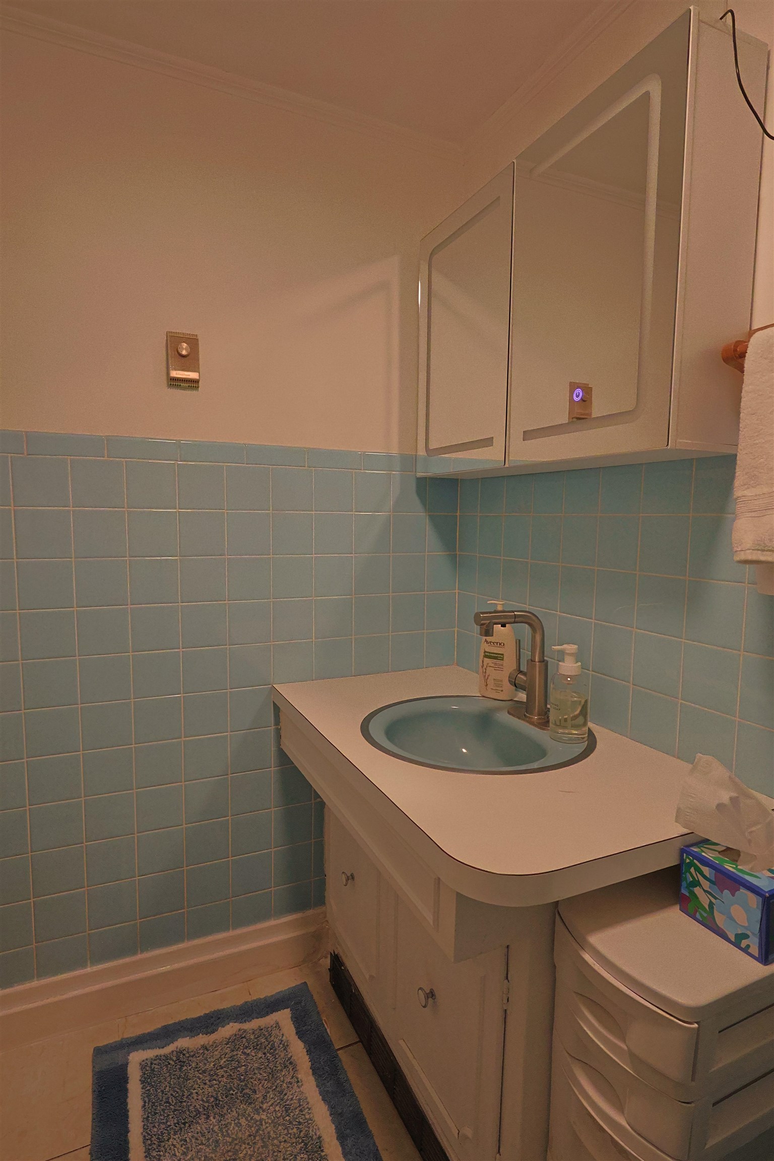 161 Chellis Street photo 43