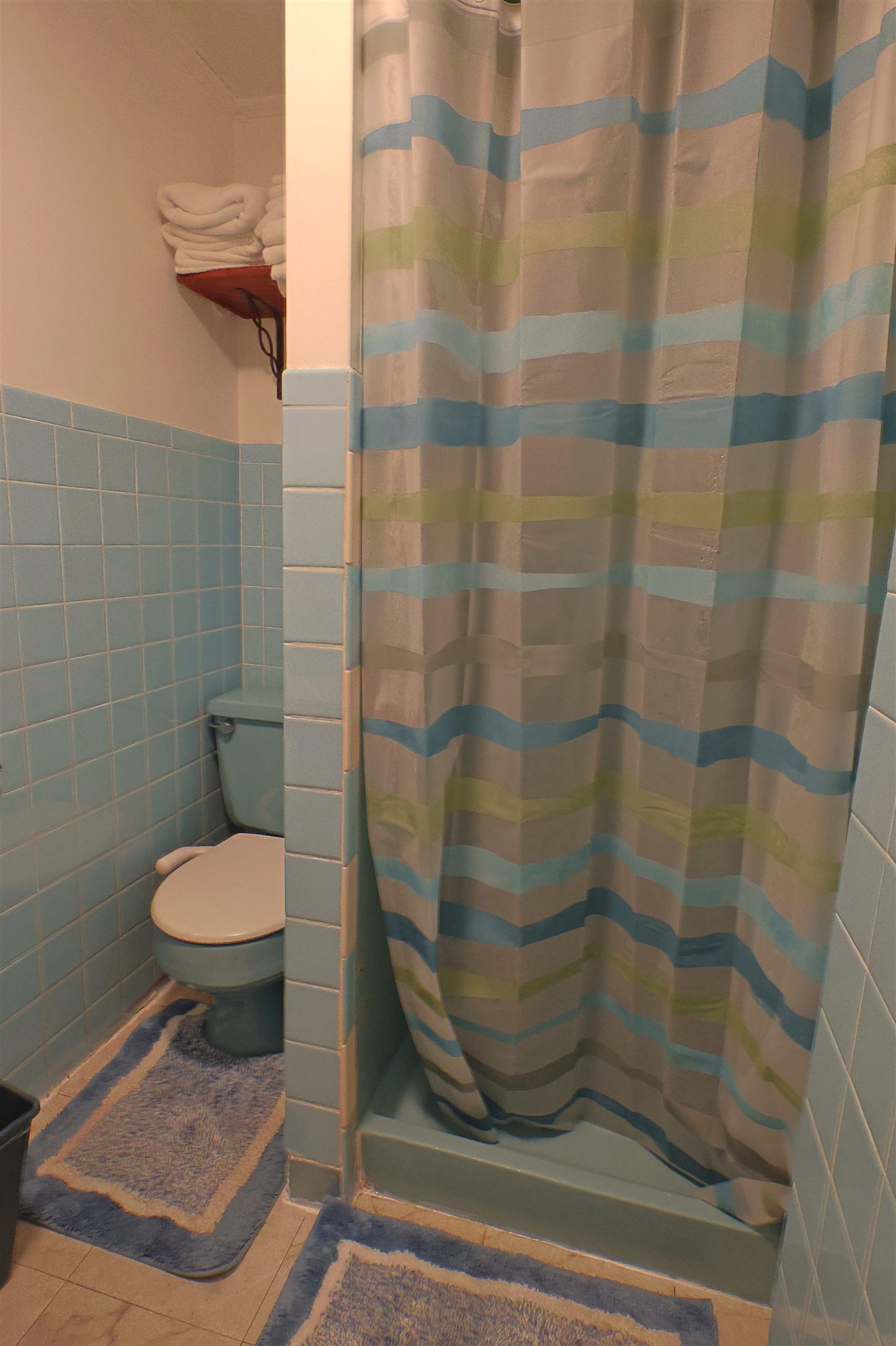 161 Chellis Street photo 44