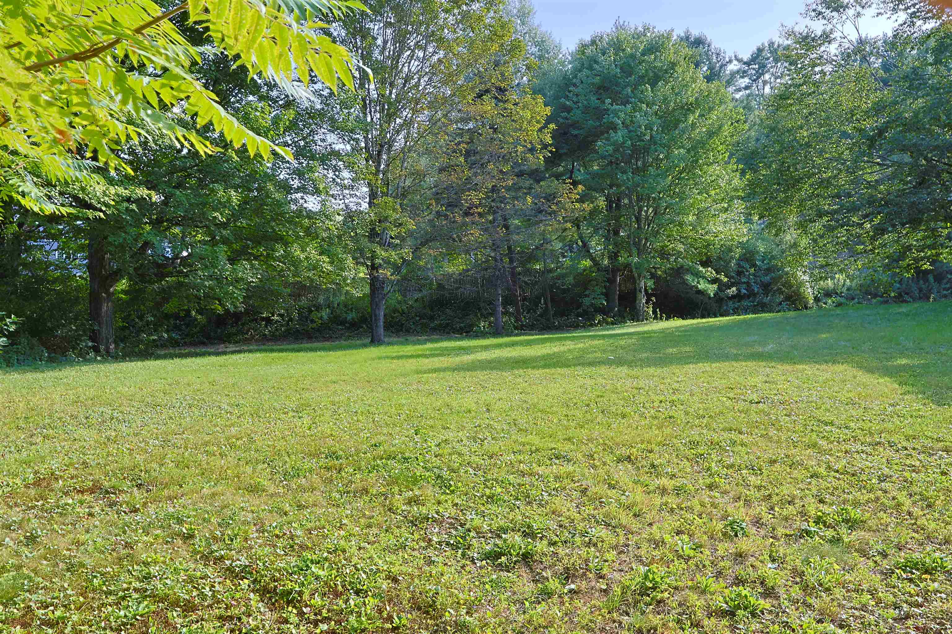 86 Brownsville Road photo 46