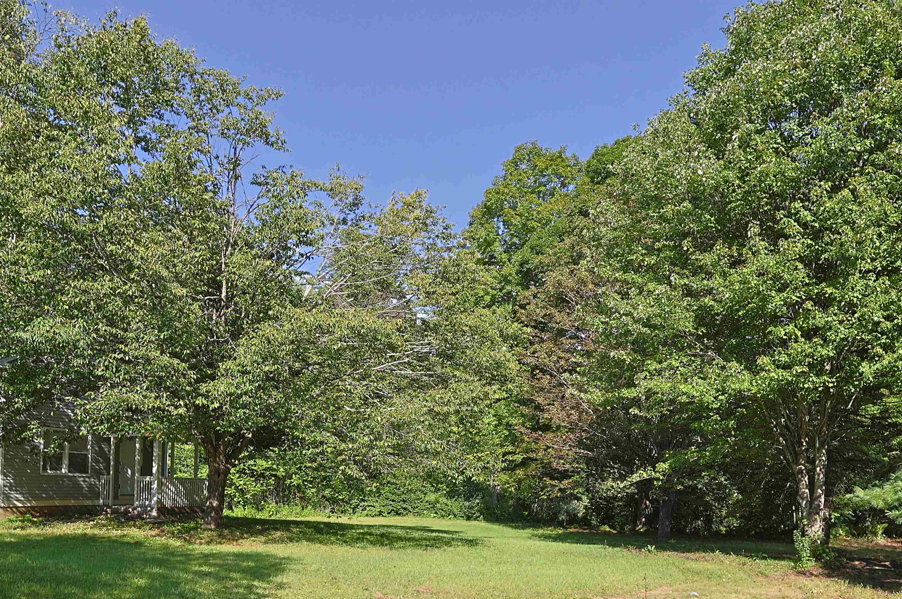 86 Brownsville Road photo 47