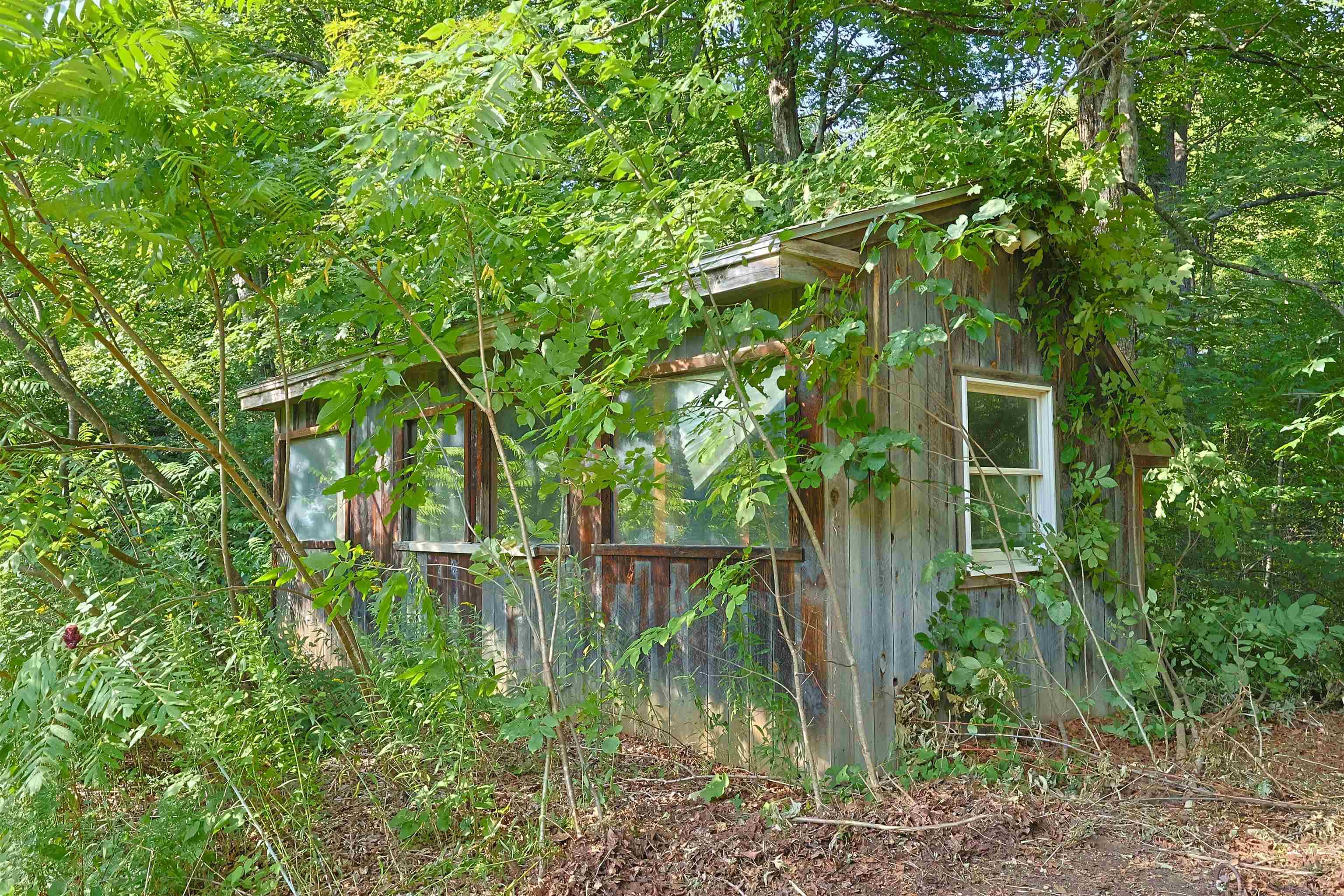 86 Brownsville Road photo 49