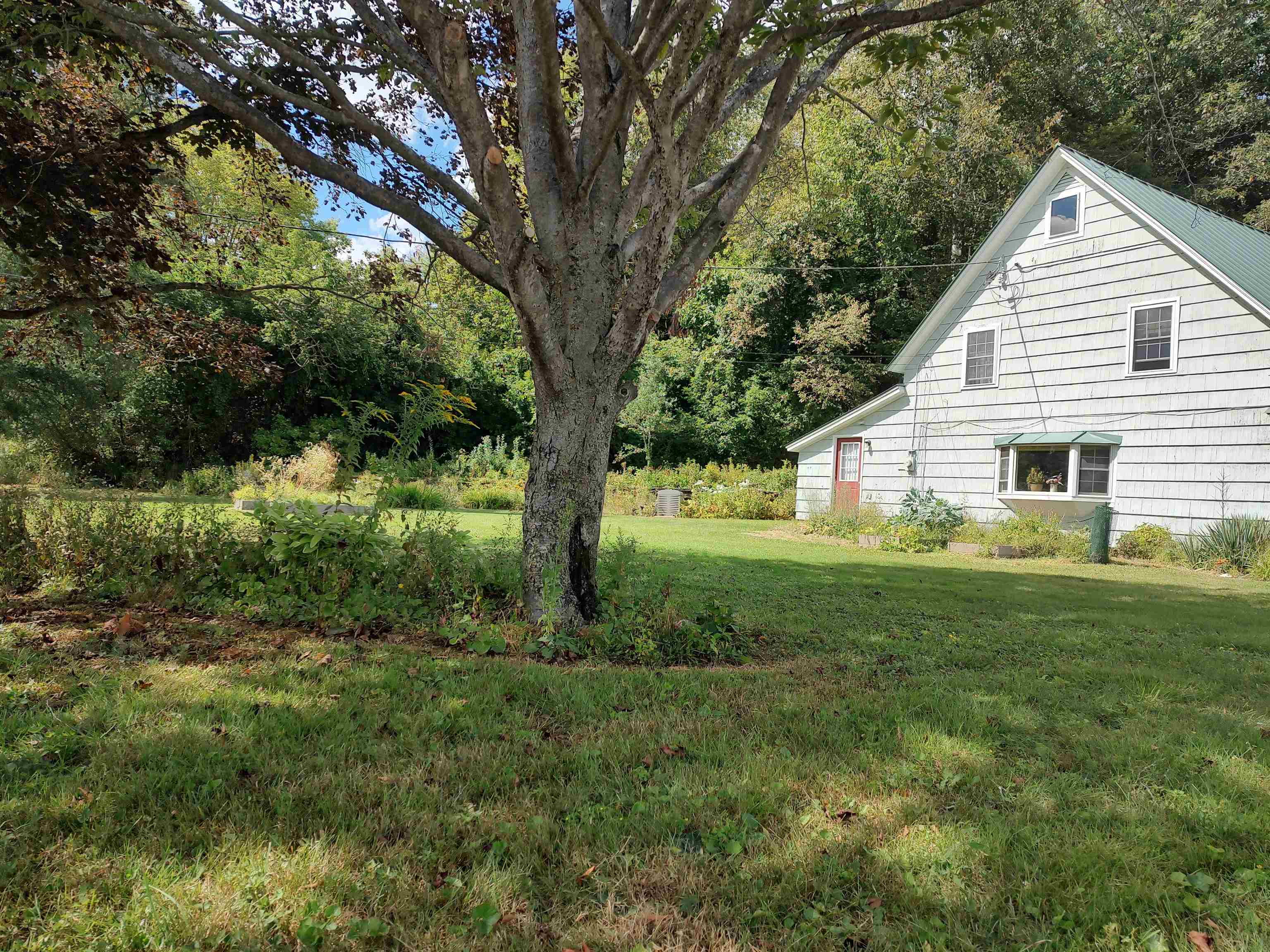 5 Greenhouse Avenue photo 5