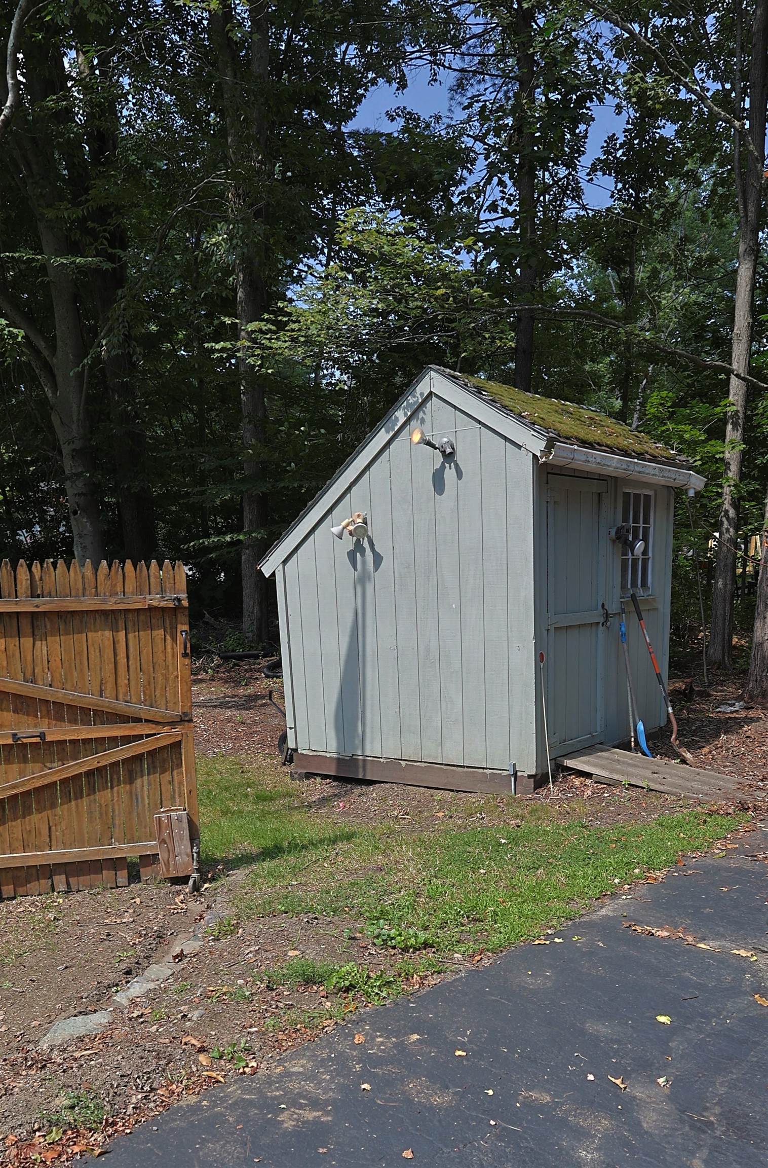 161 Chellis Street photo 53