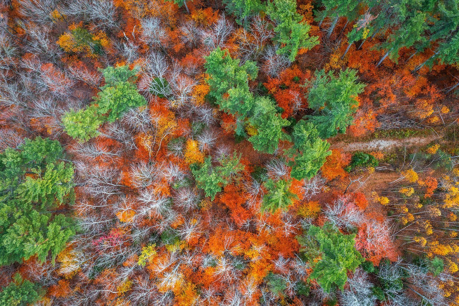 near 00 Boynton Road Londonderry, VT 05148 Property 2
