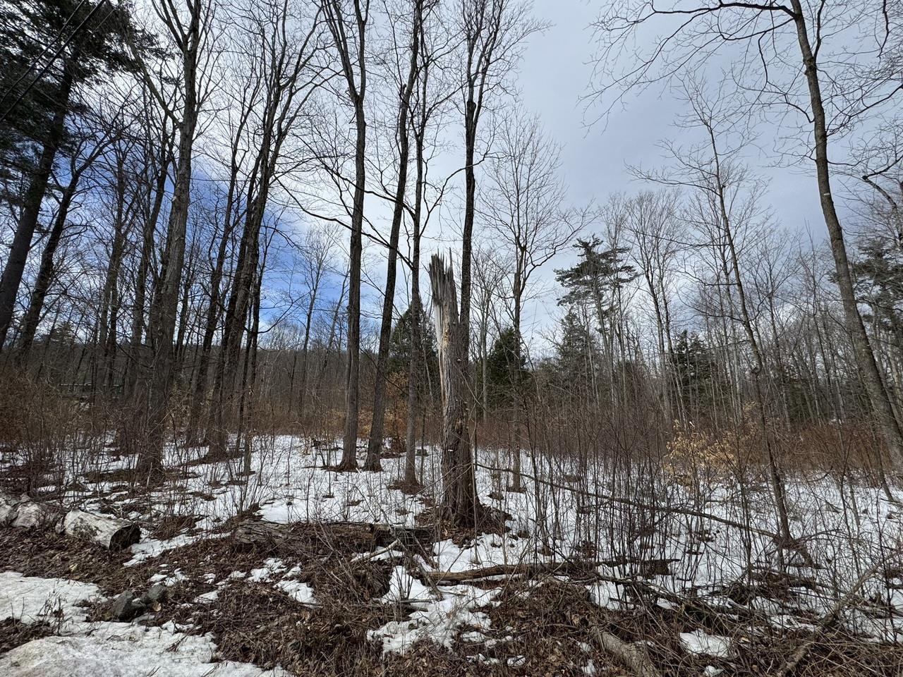 near 6 Fred Johnson Circle Middlebury, VT 05753 Property 1