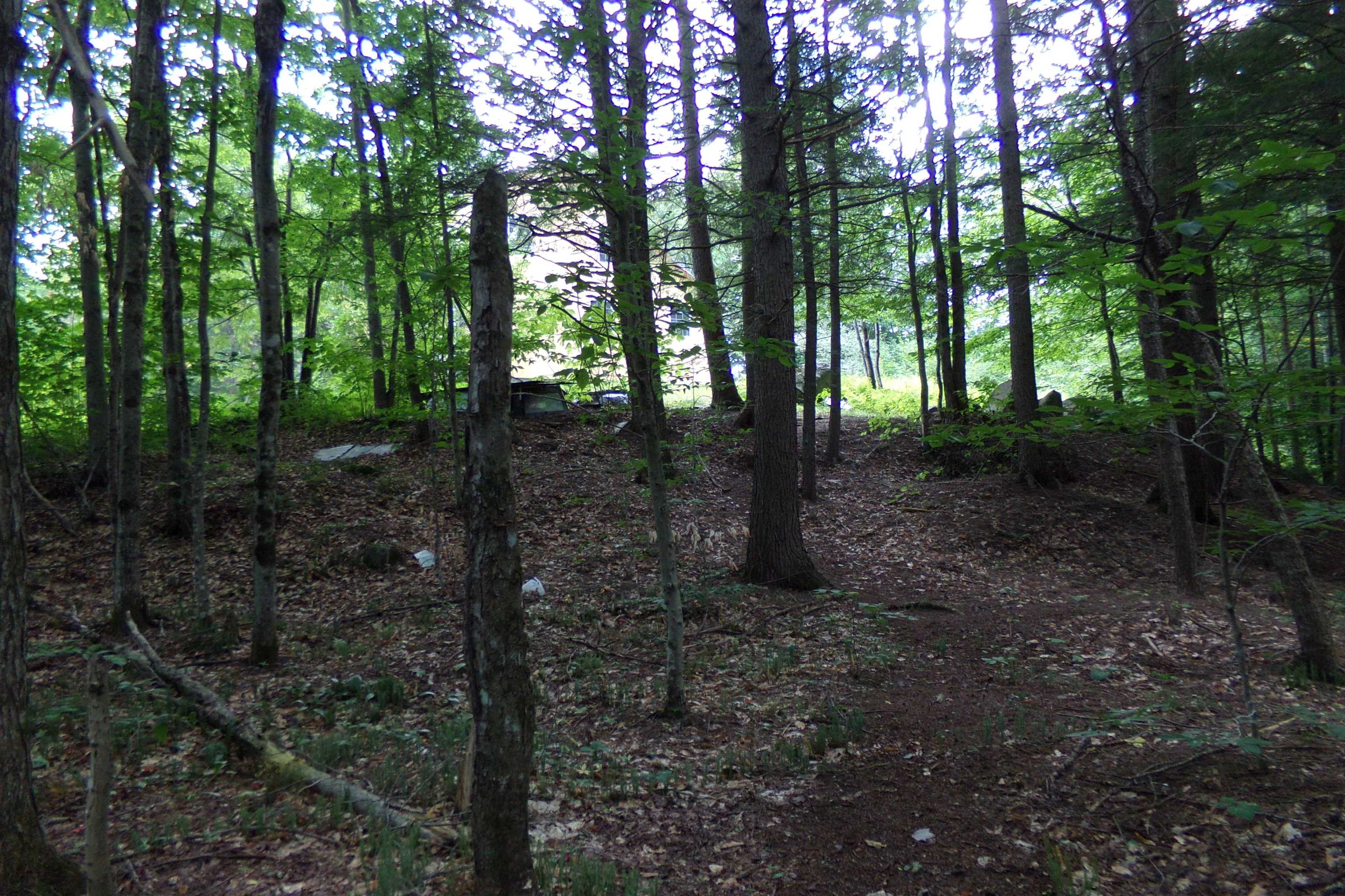 16 Keenan Pond Road photo 27