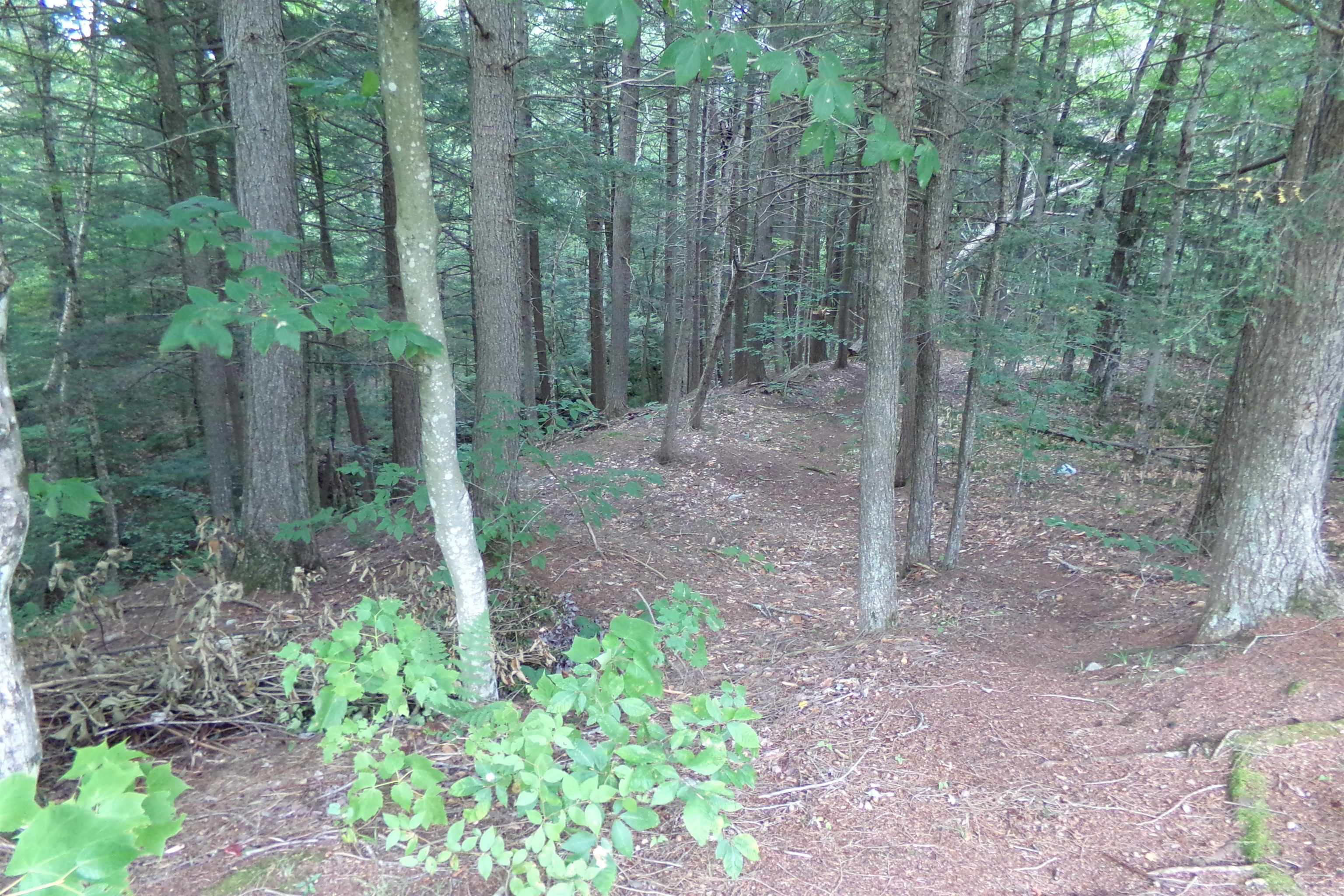 16 Keenan Pond Road photo 28