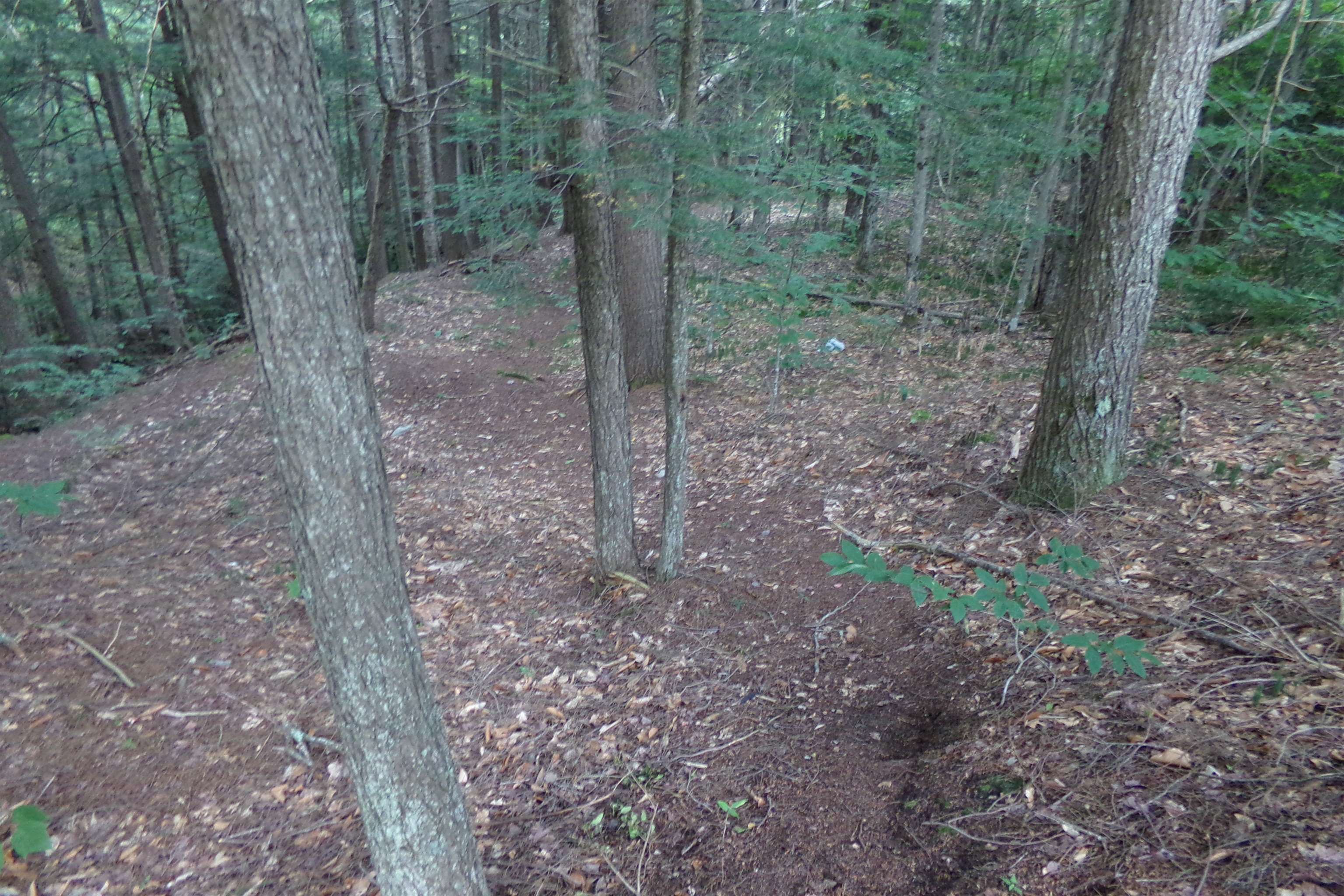 16 Keenan Pond Road photo 29