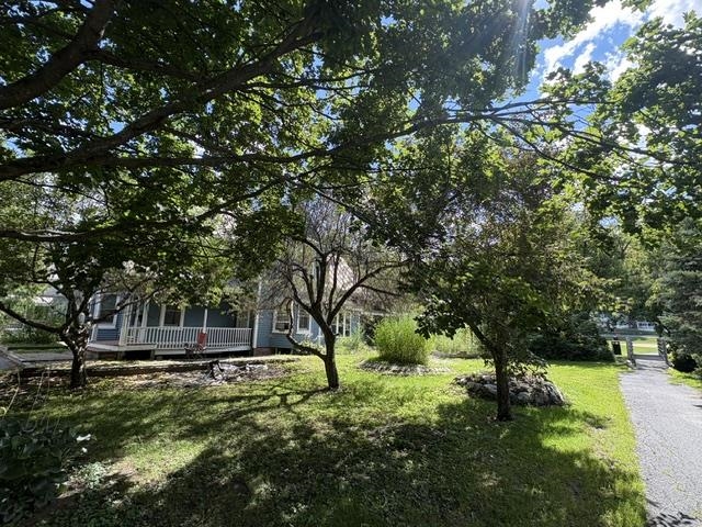 11 Maple Street photo 42