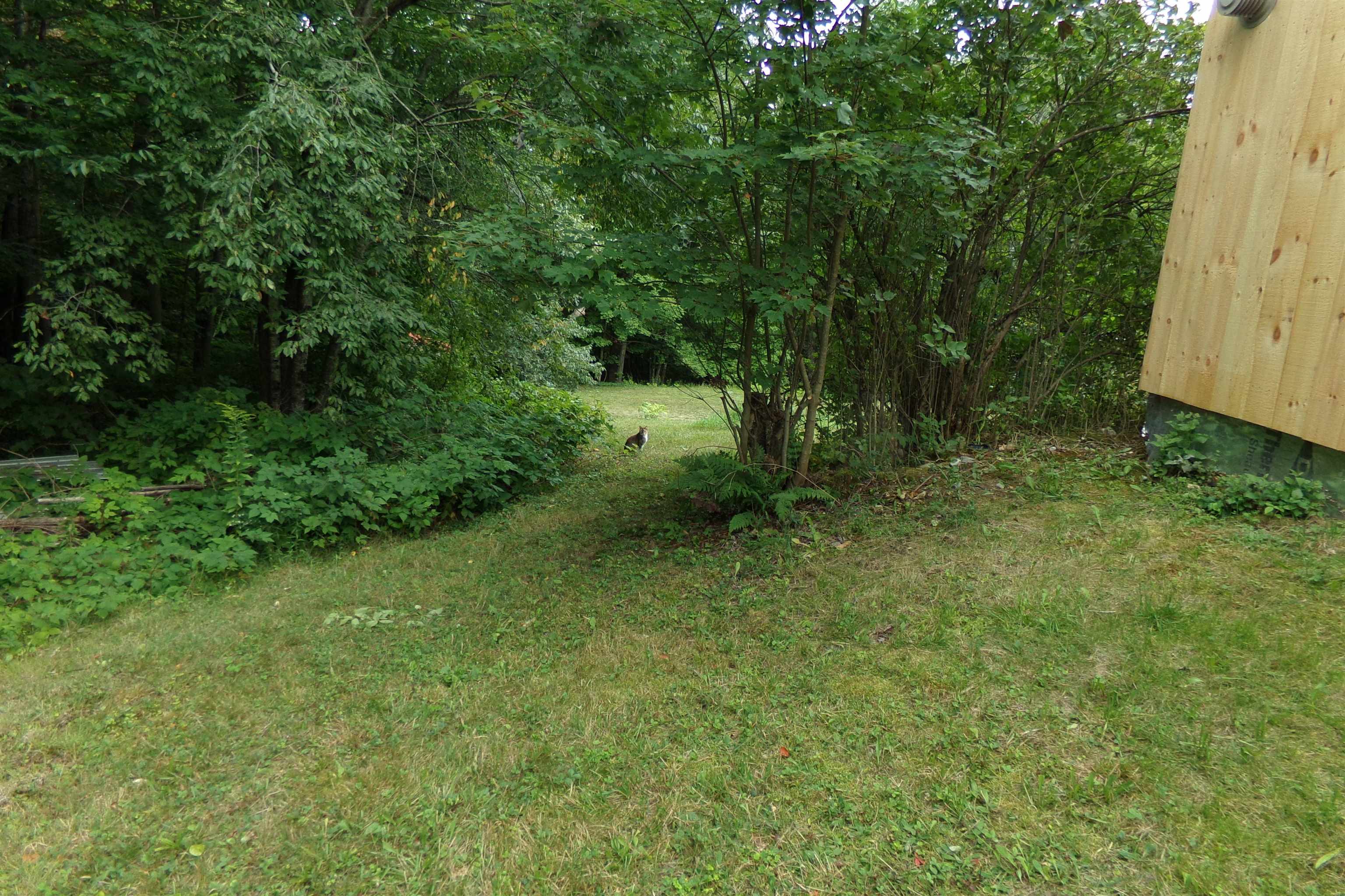 16 Keenan Pond Road photo 6