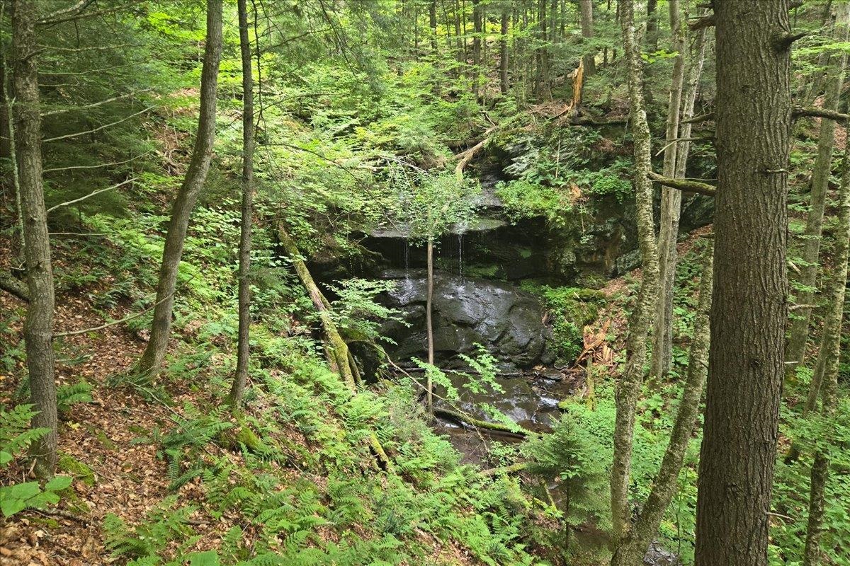 840 Sugar Hill Road photo 7