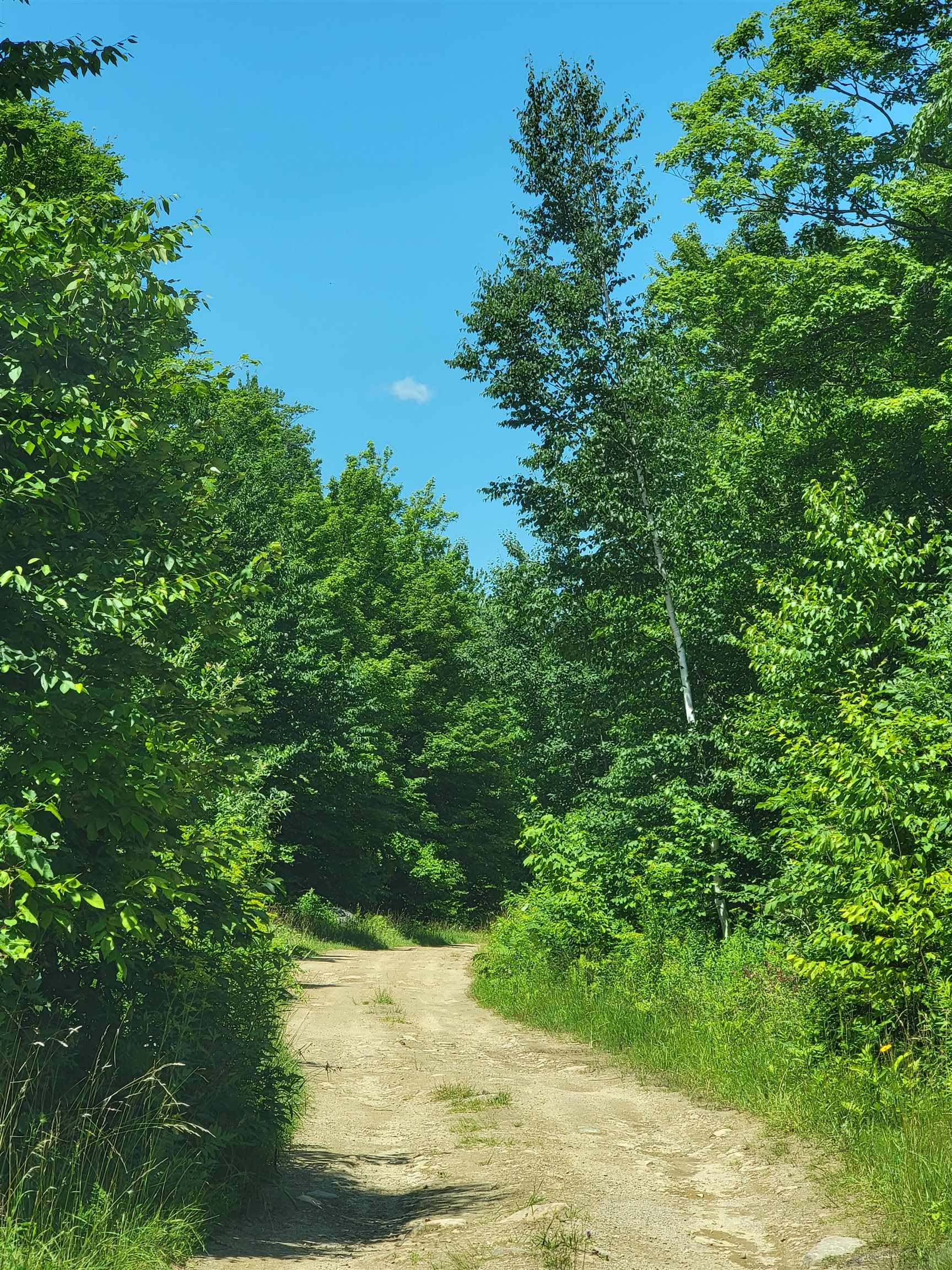 0 Old Gale Hill Road photo 1