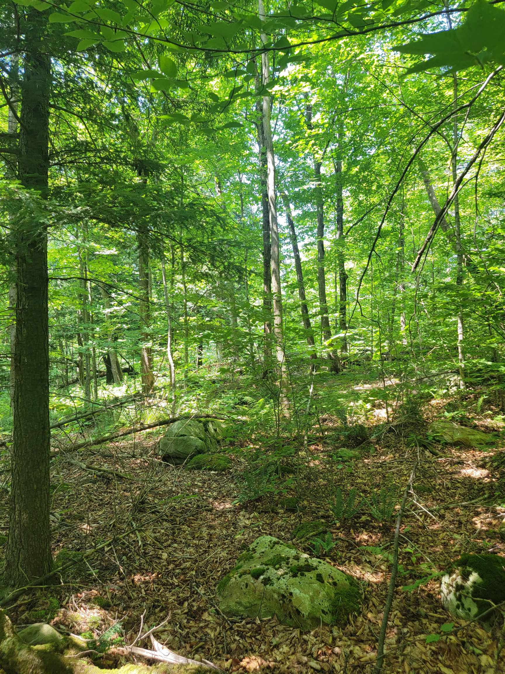 0 Old Gale Hill Road photo 2