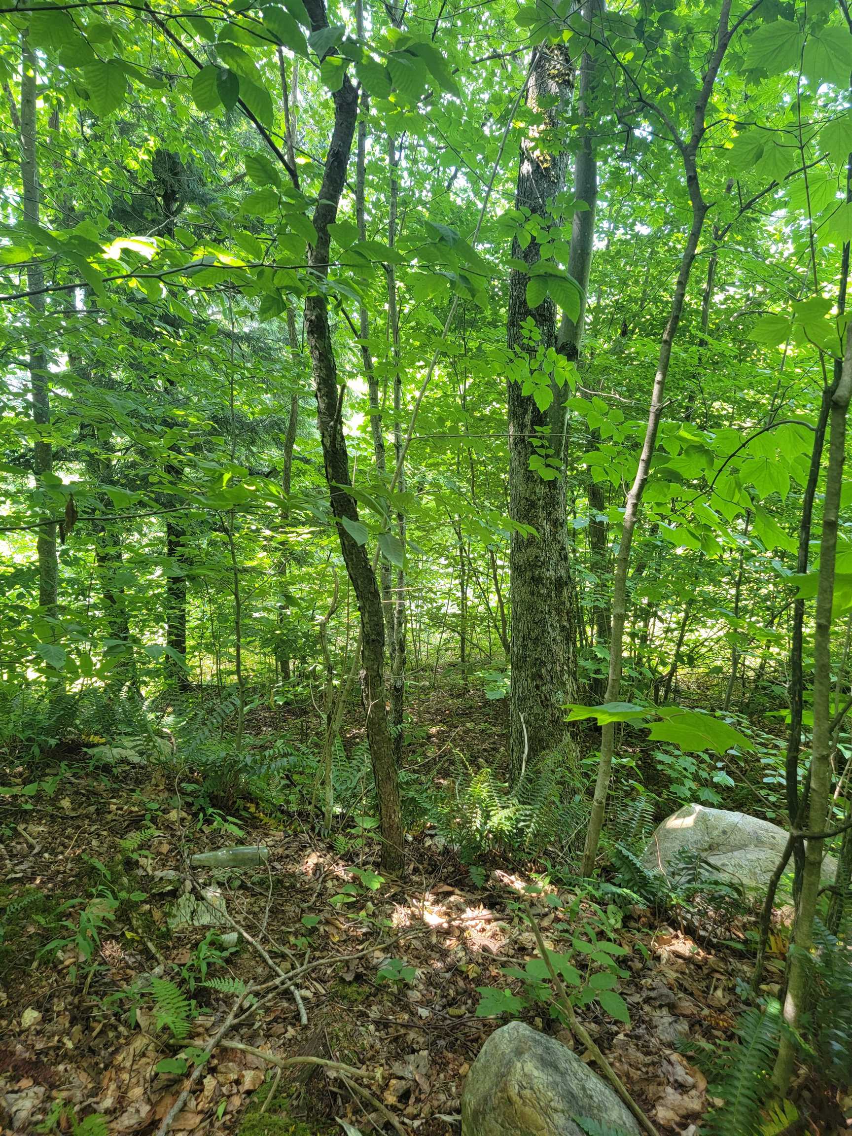 0 Old Gale Hill Road photo 5