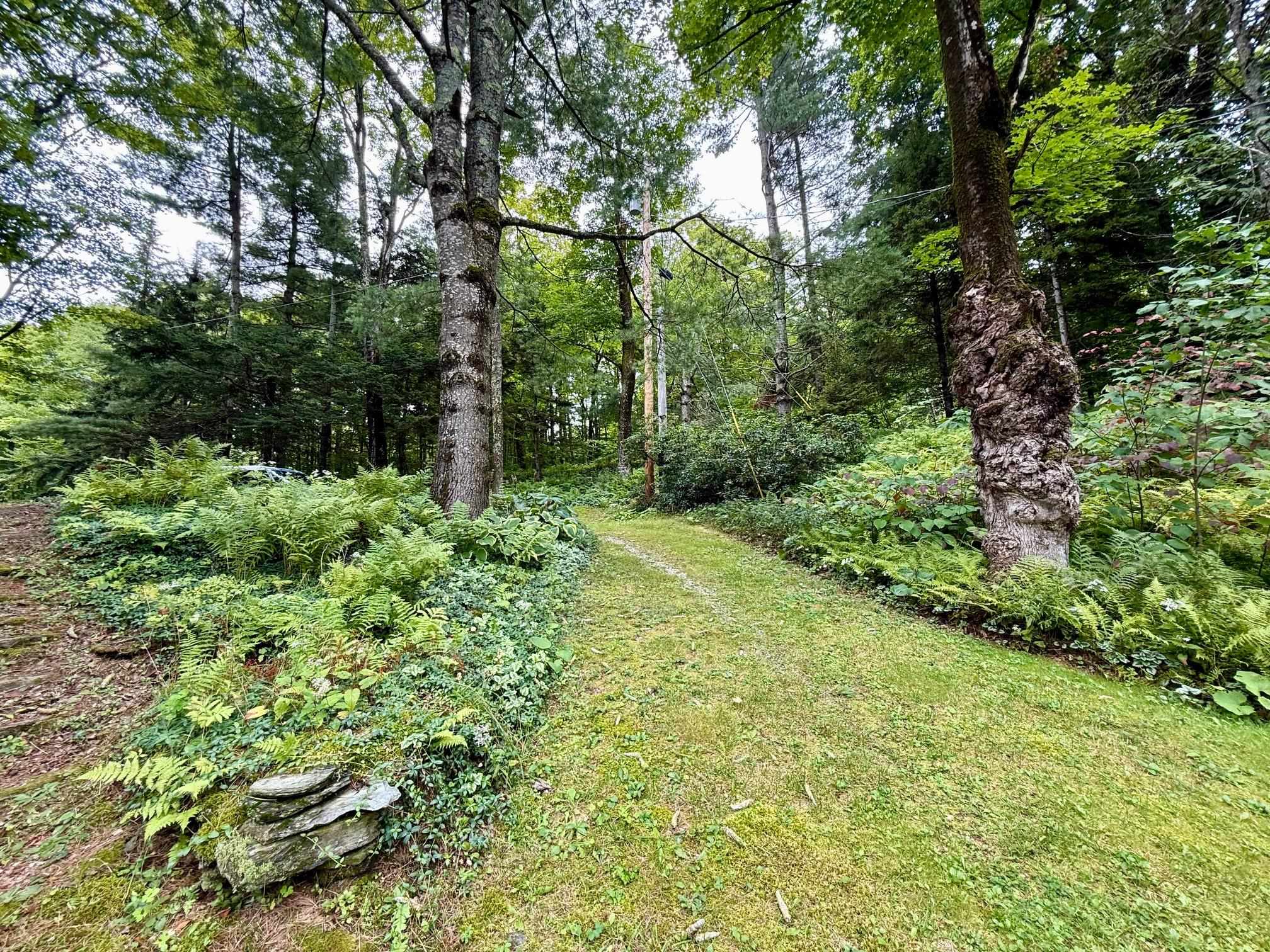 756 Brich Hill Road photo 5