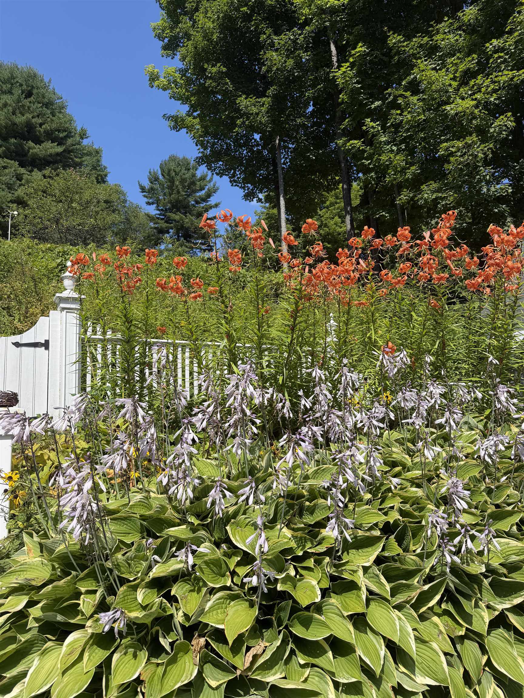 408 Ridge Road photo 60