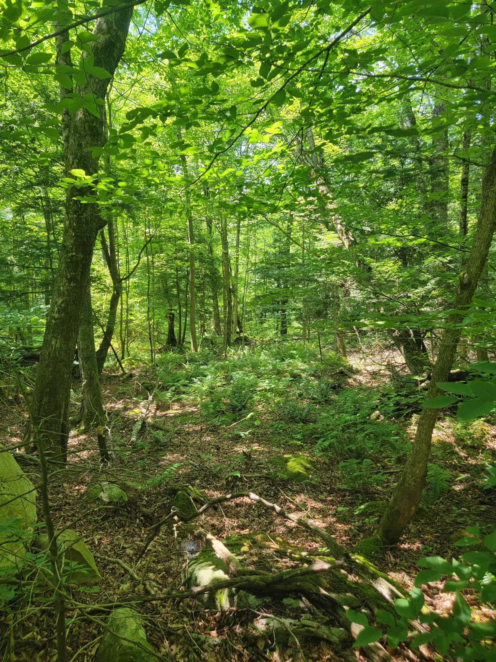 0 Old Gale Hill Road photo 8