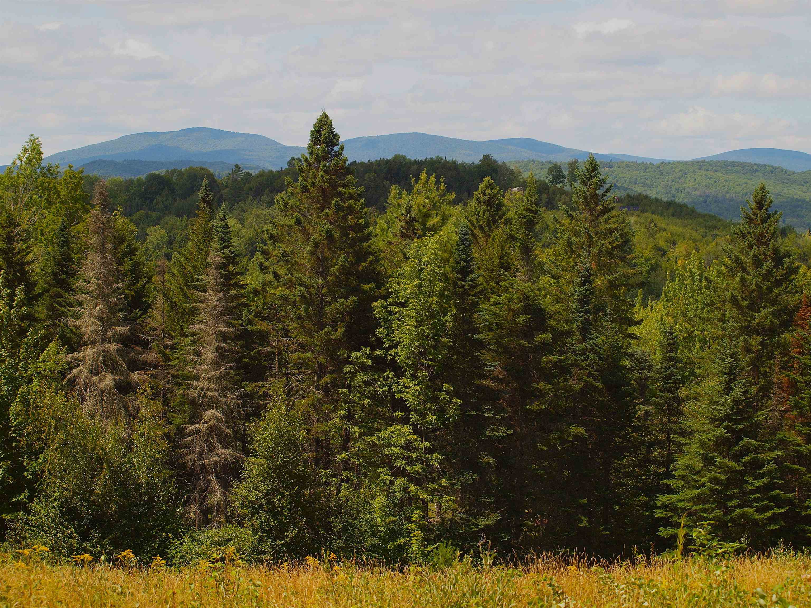 near 0 Crosby Road Topsham, VT 05076 Property 2