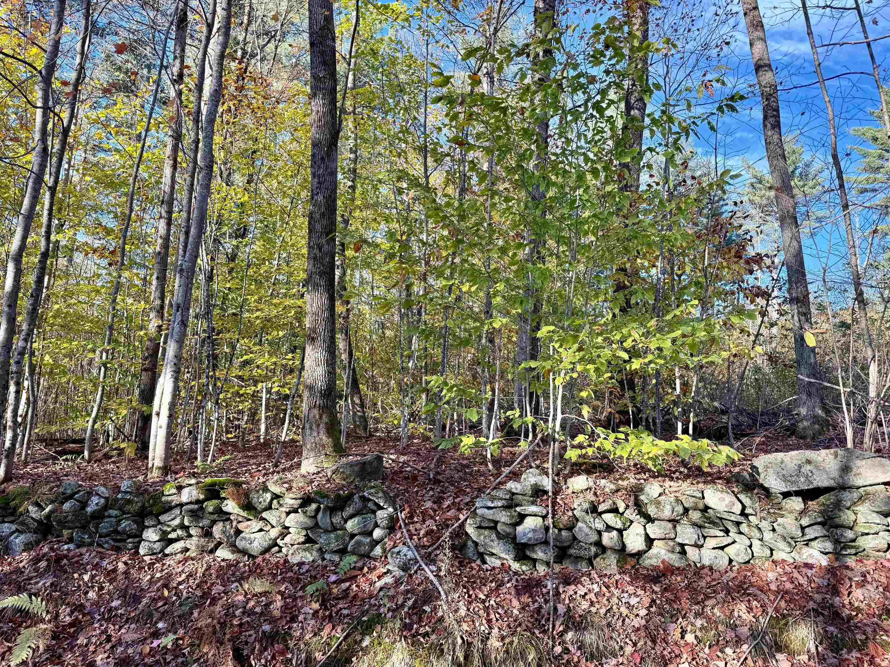 near 184 Schoolhouse Road Jamaica, VT 05343 Property 1