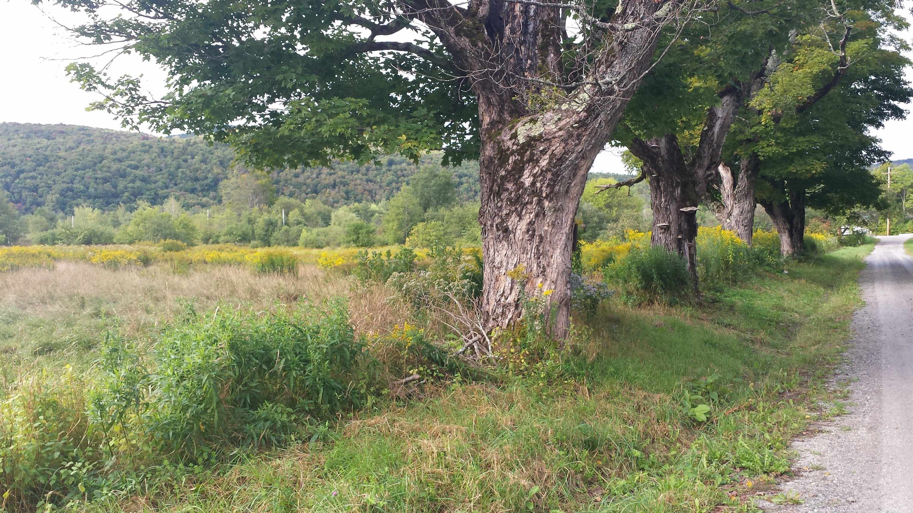 near 00 Bill T Drive Readsboro, VT 05350 Property 2