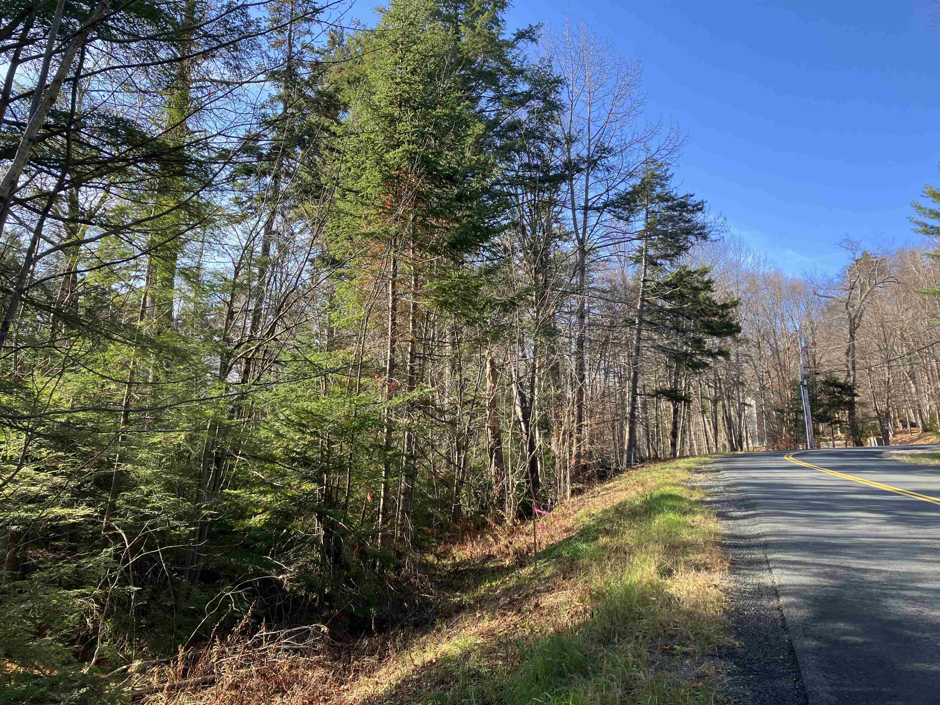 near 00 VT Route 8 Readsboro, VT 05350 Property 3