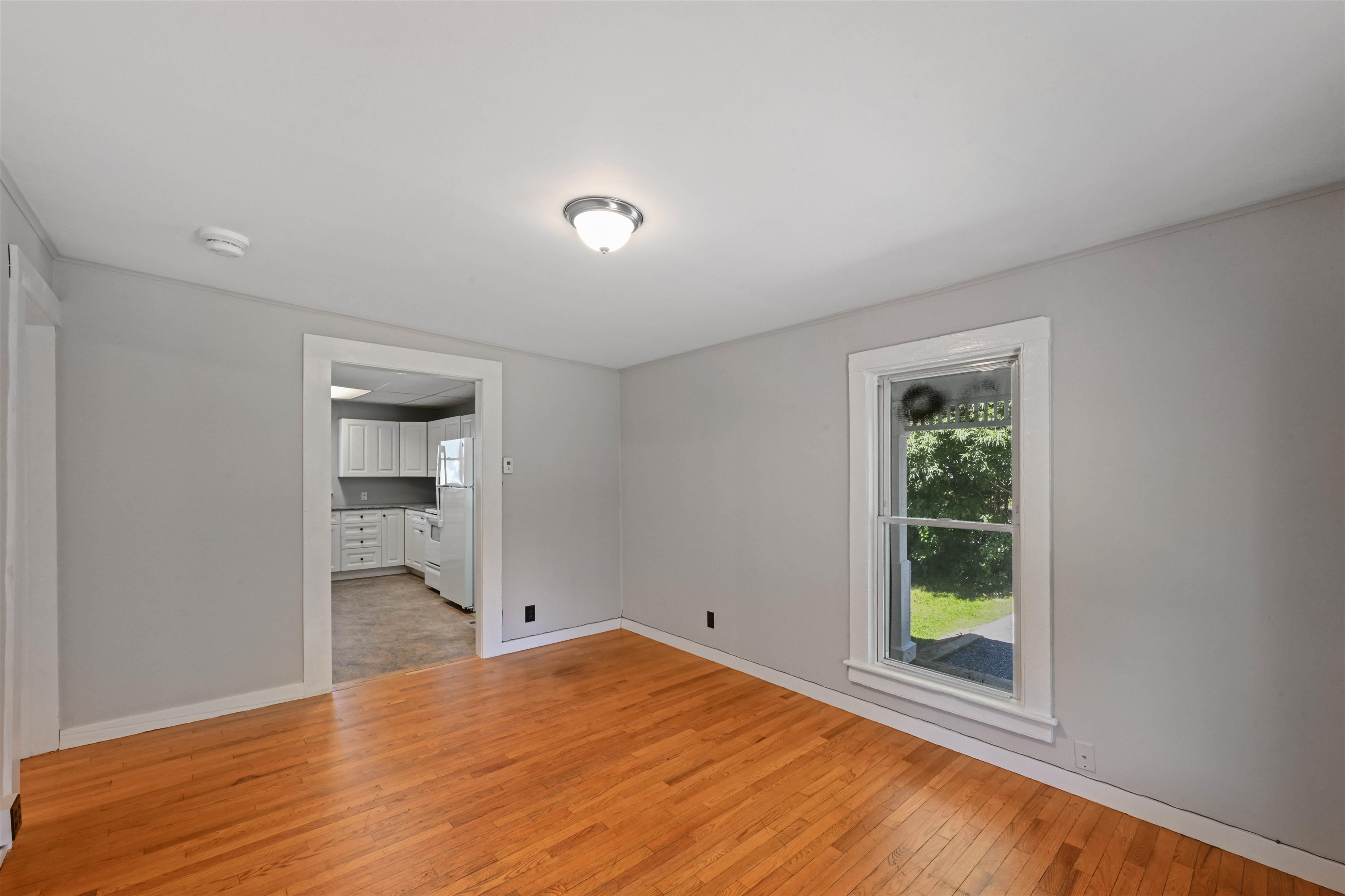 36 Seymour Street photo 7