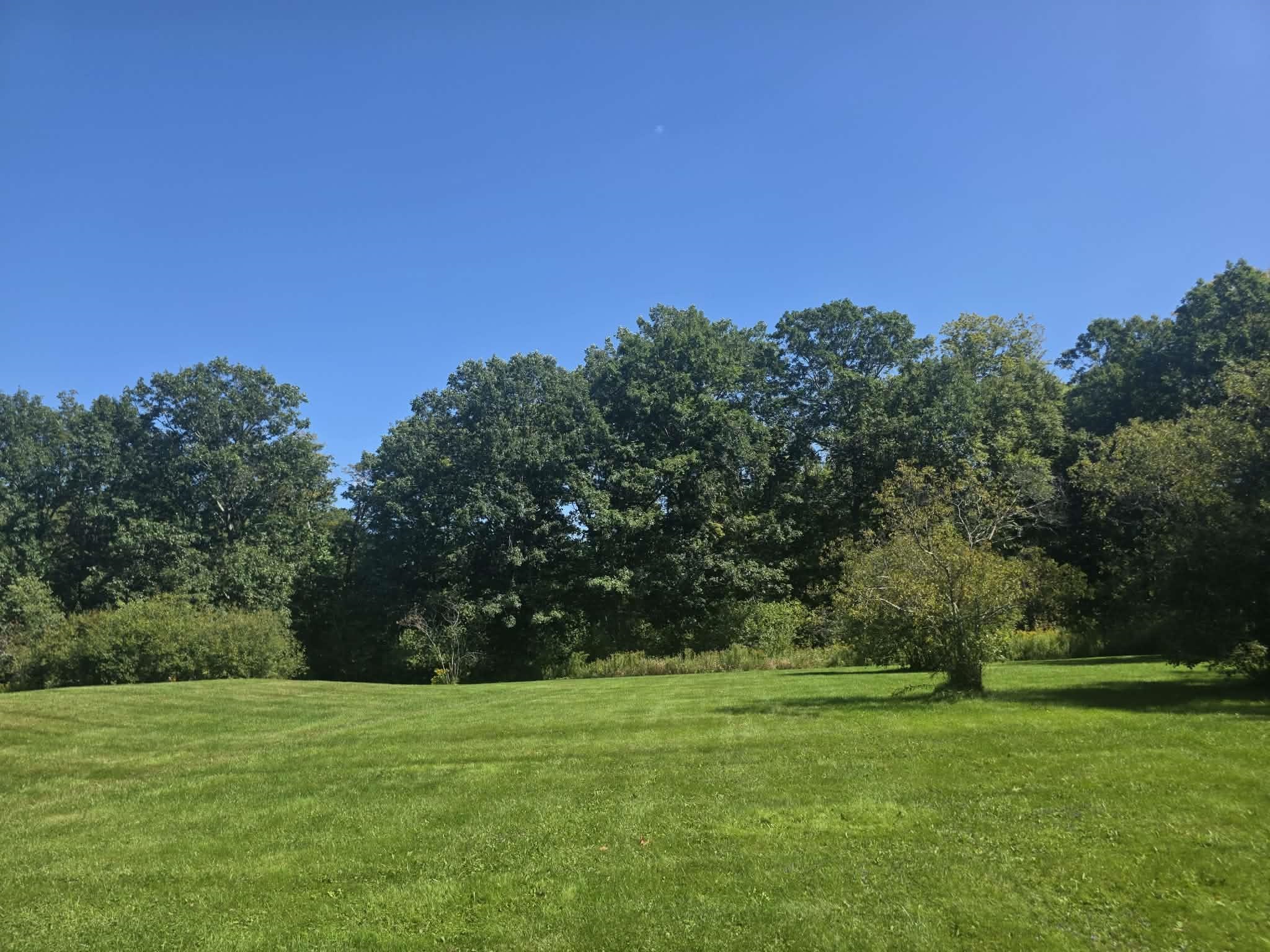 207 S Pine Banks Road photo 7