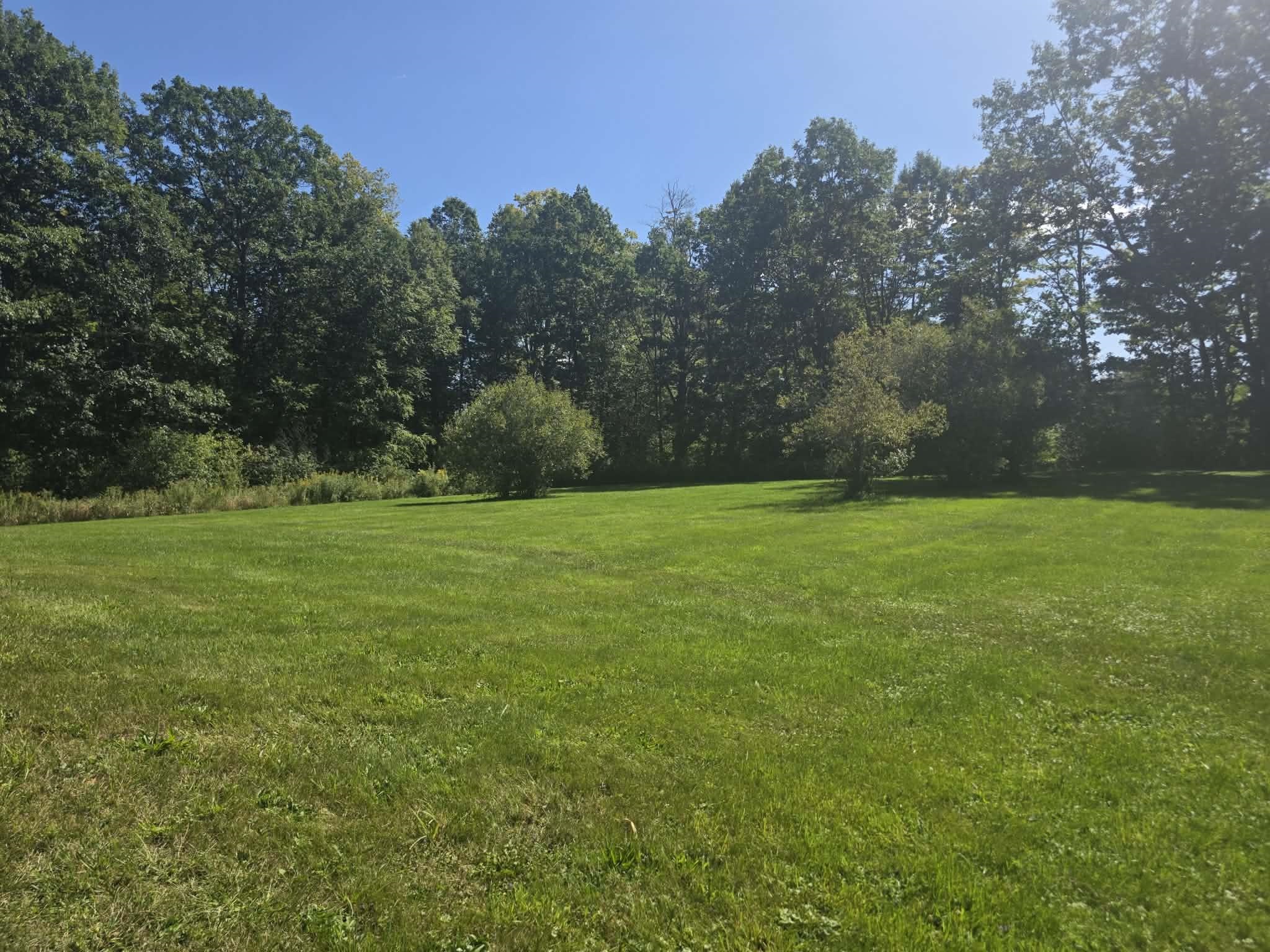 207 S Pine Banks Road photo 9
