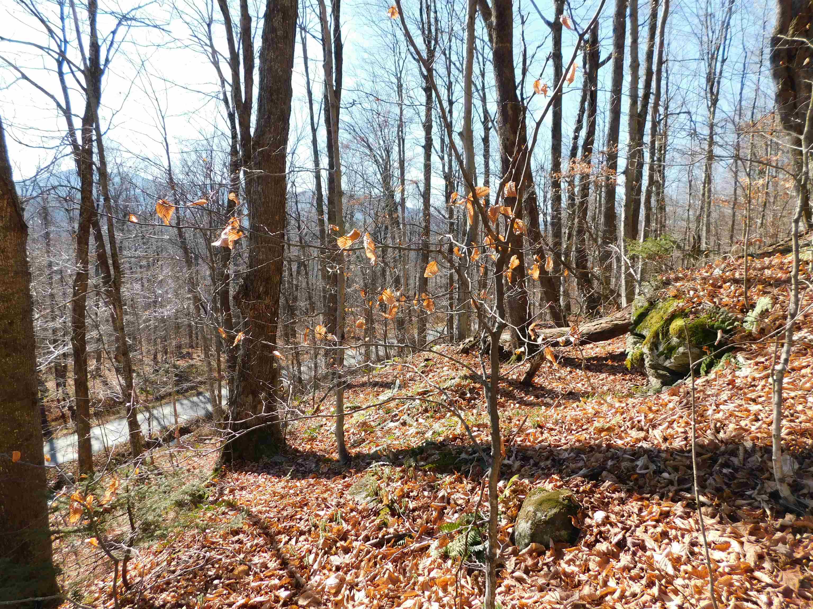 near 0 Route 242 Jay, VT 05859 Property 1