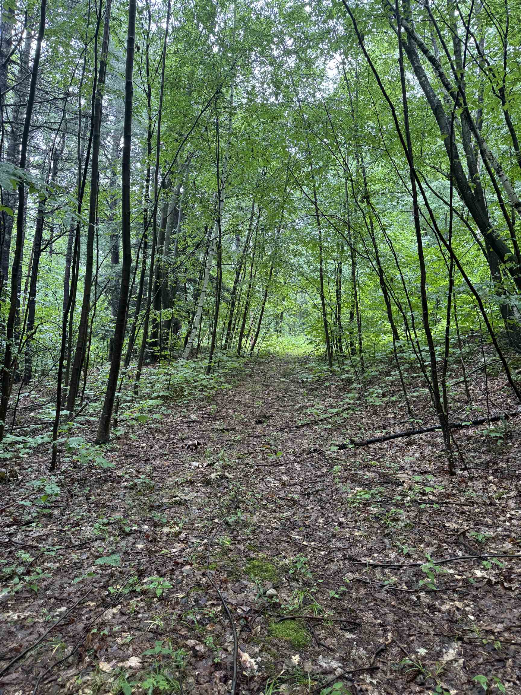 0 Grapevine Lane photo 1
