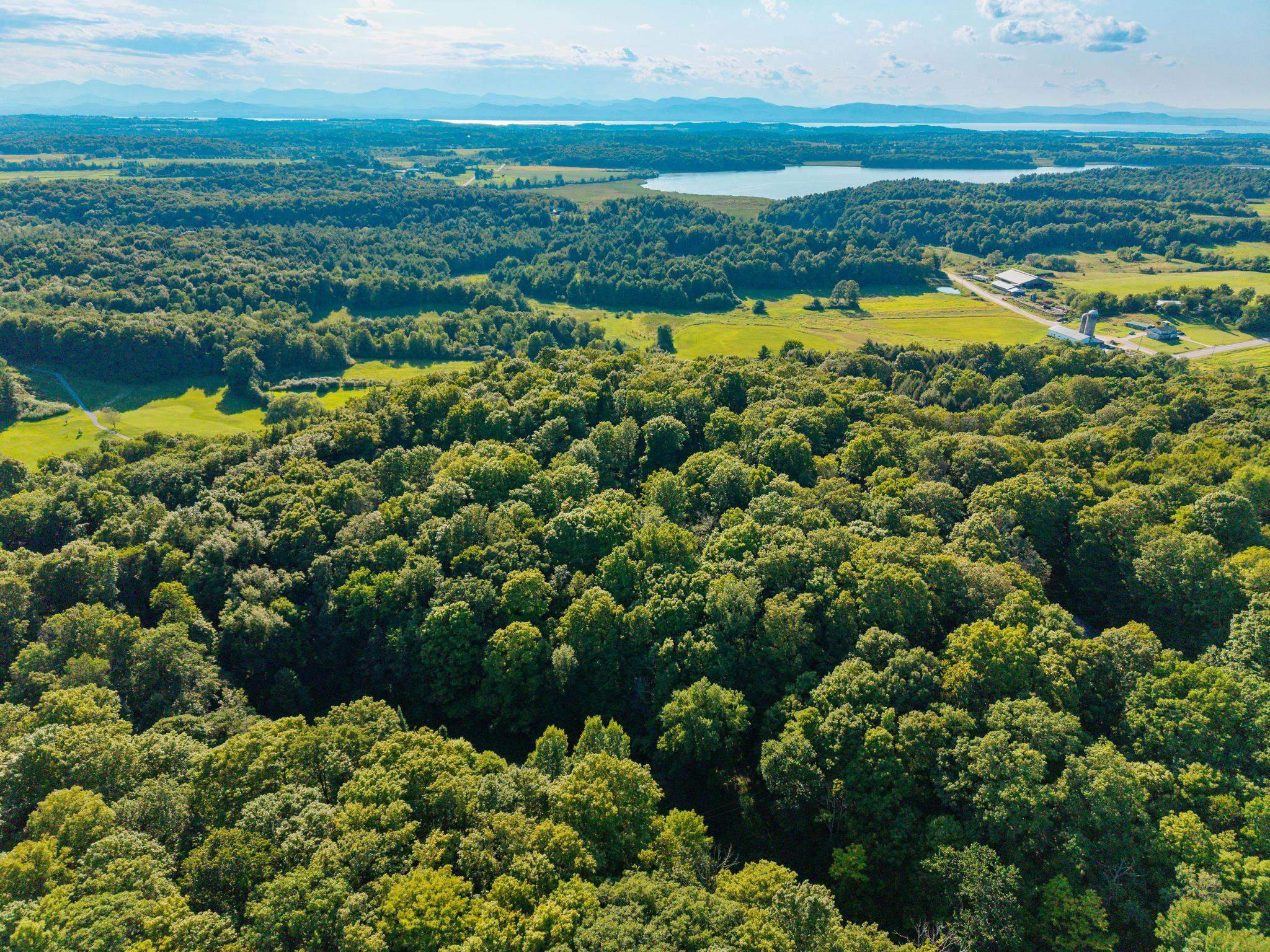 Lot 2 Winterbottom Road photo 10