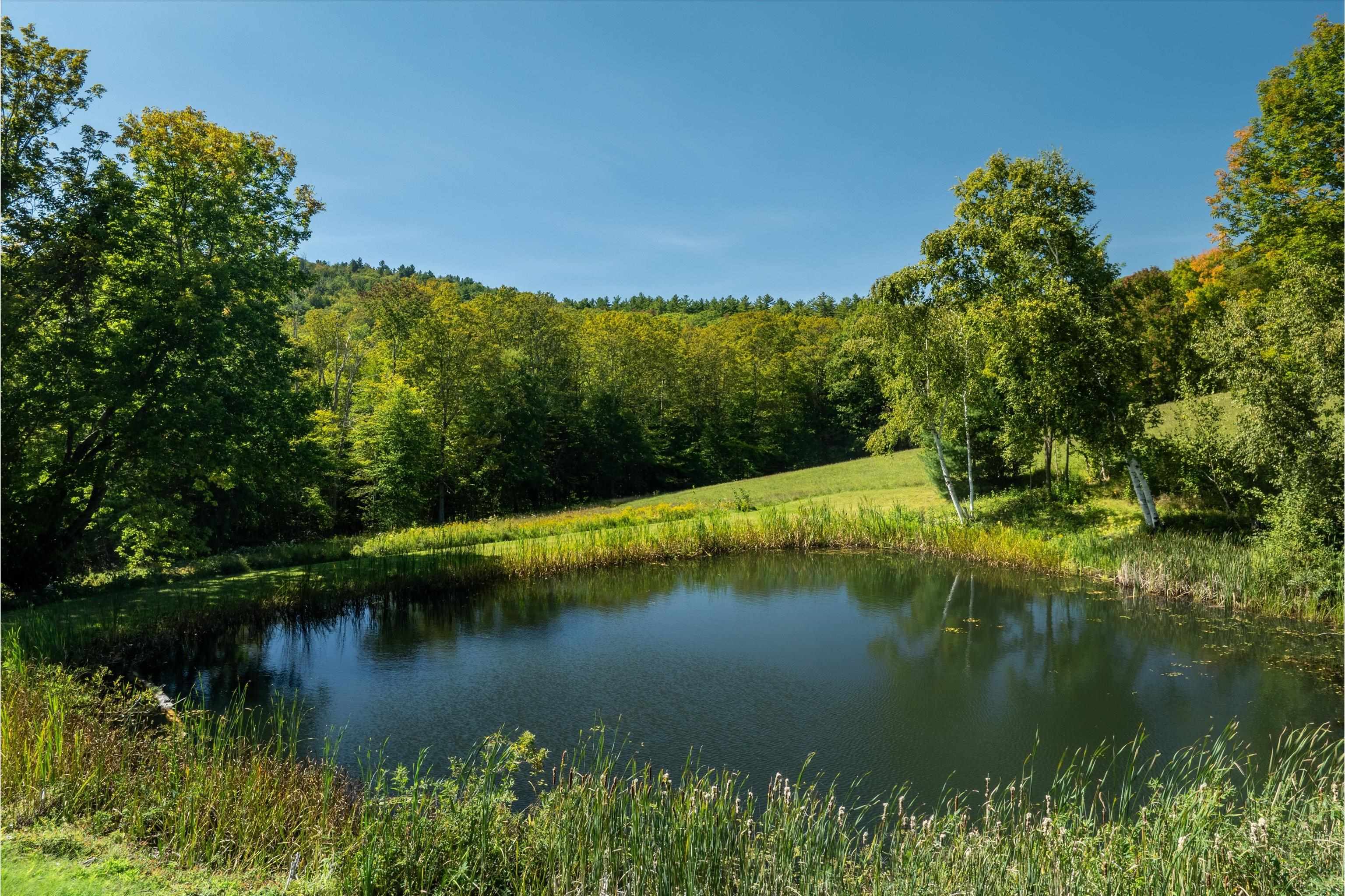 888 Skyline Drive photo 3