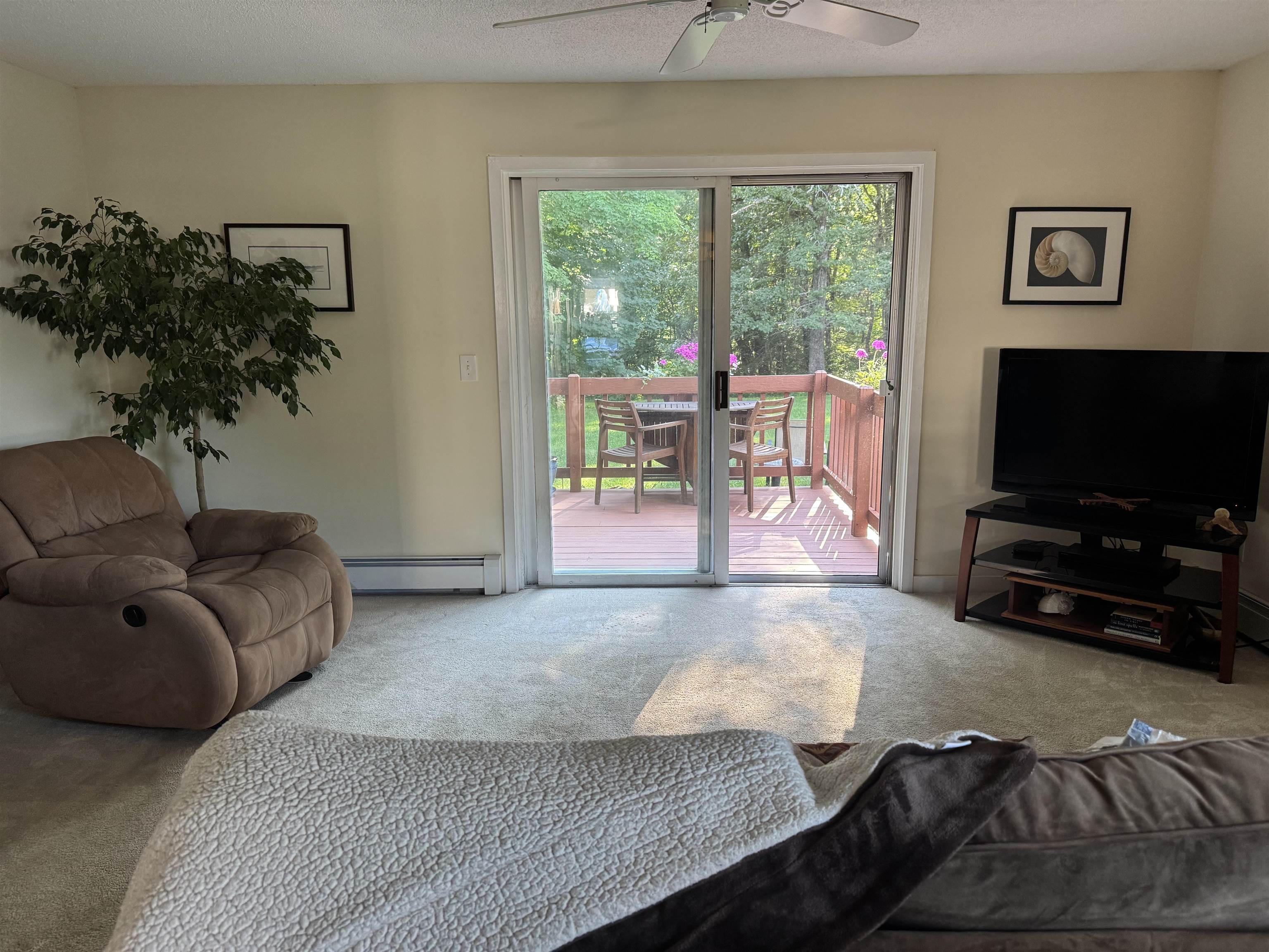 74 Wolcott Street photo 4