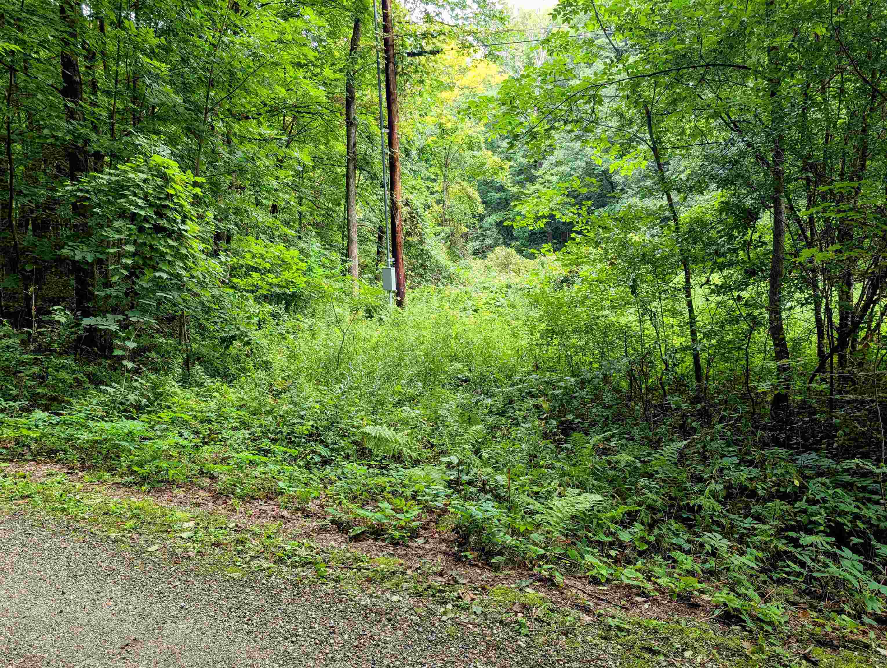 Lot 2 Winterbottom Road photo 8