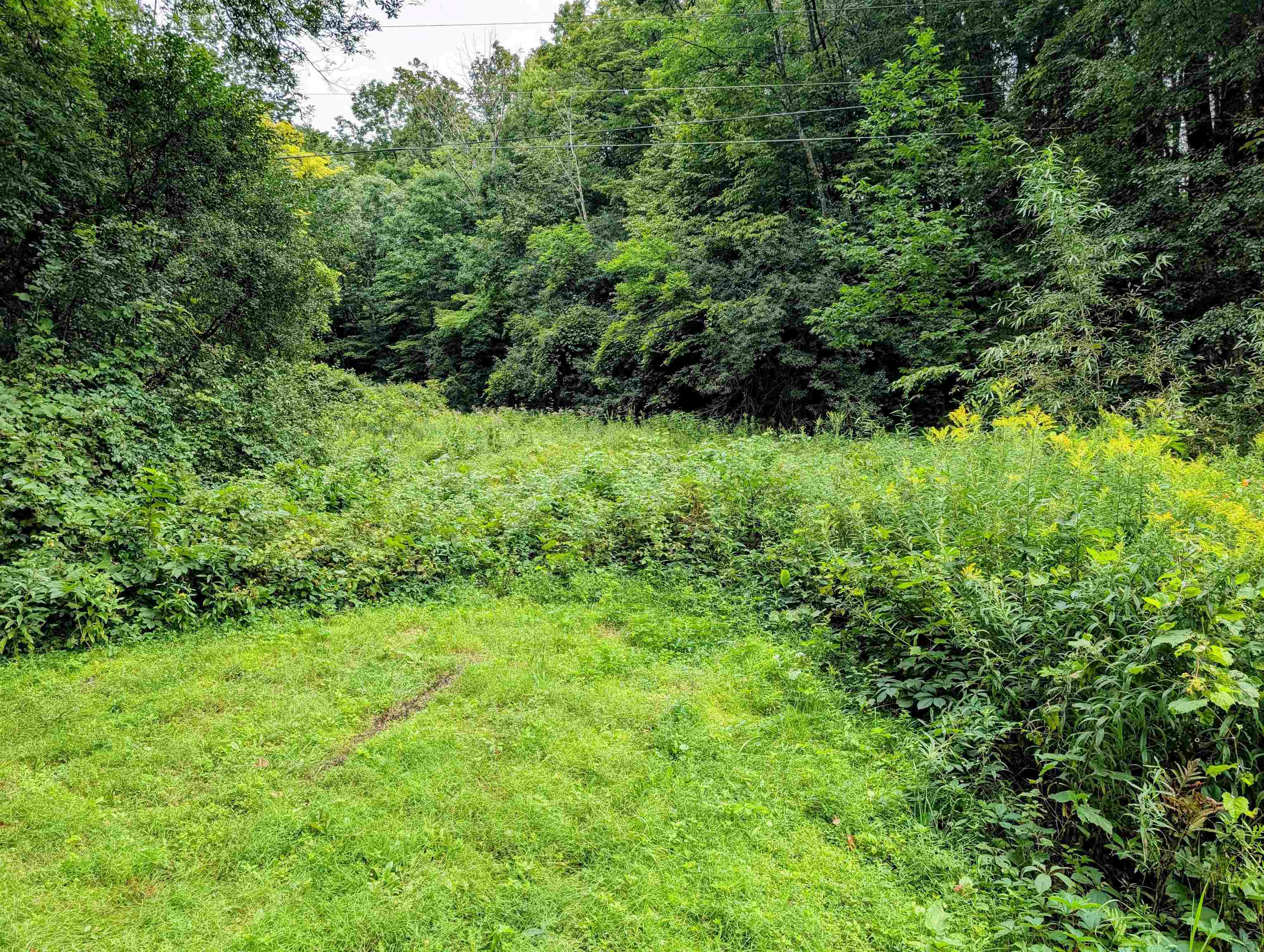 Lot 2 Winterbottom Road photo 9
