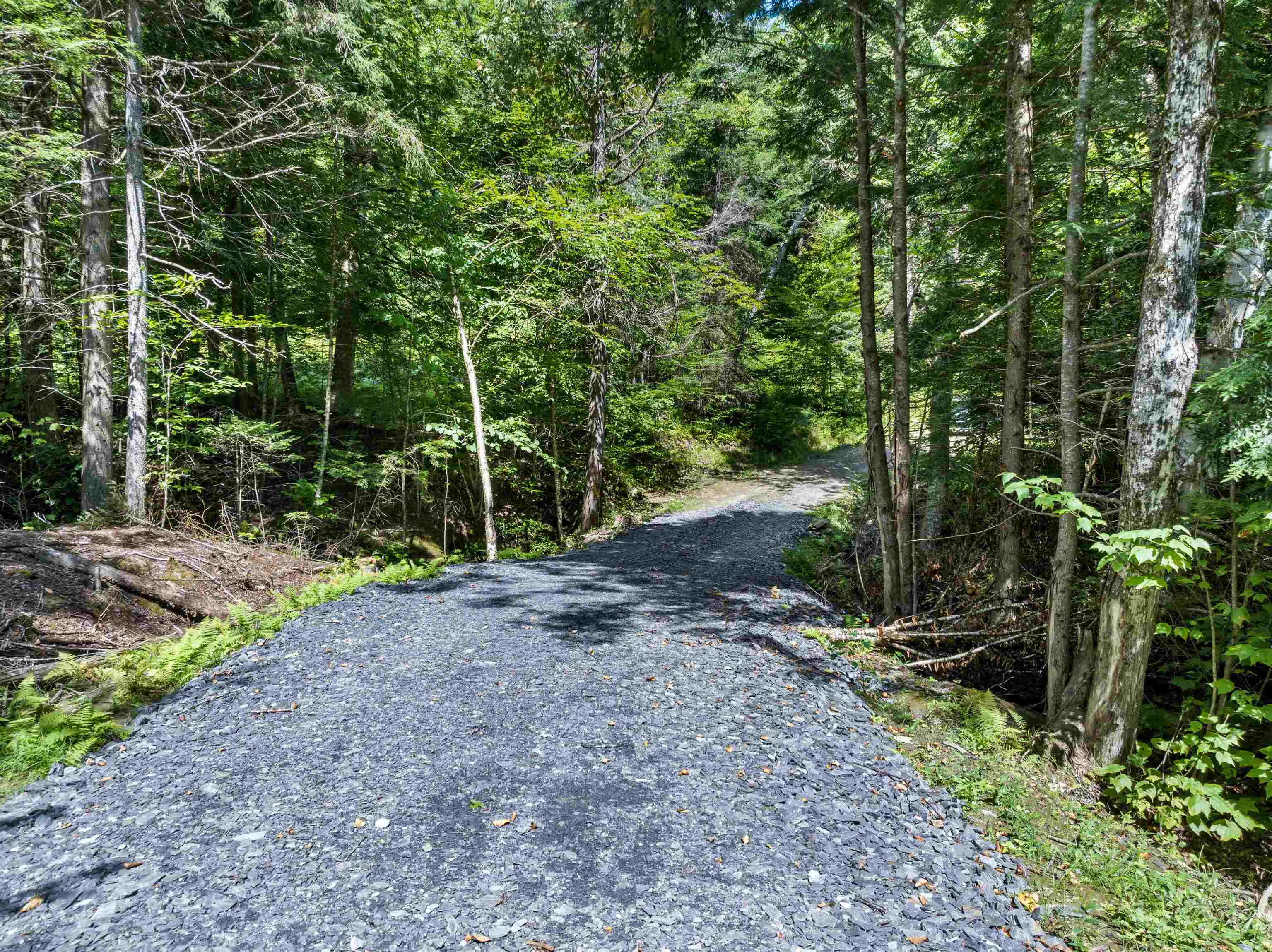 245 Murray Road photo 11