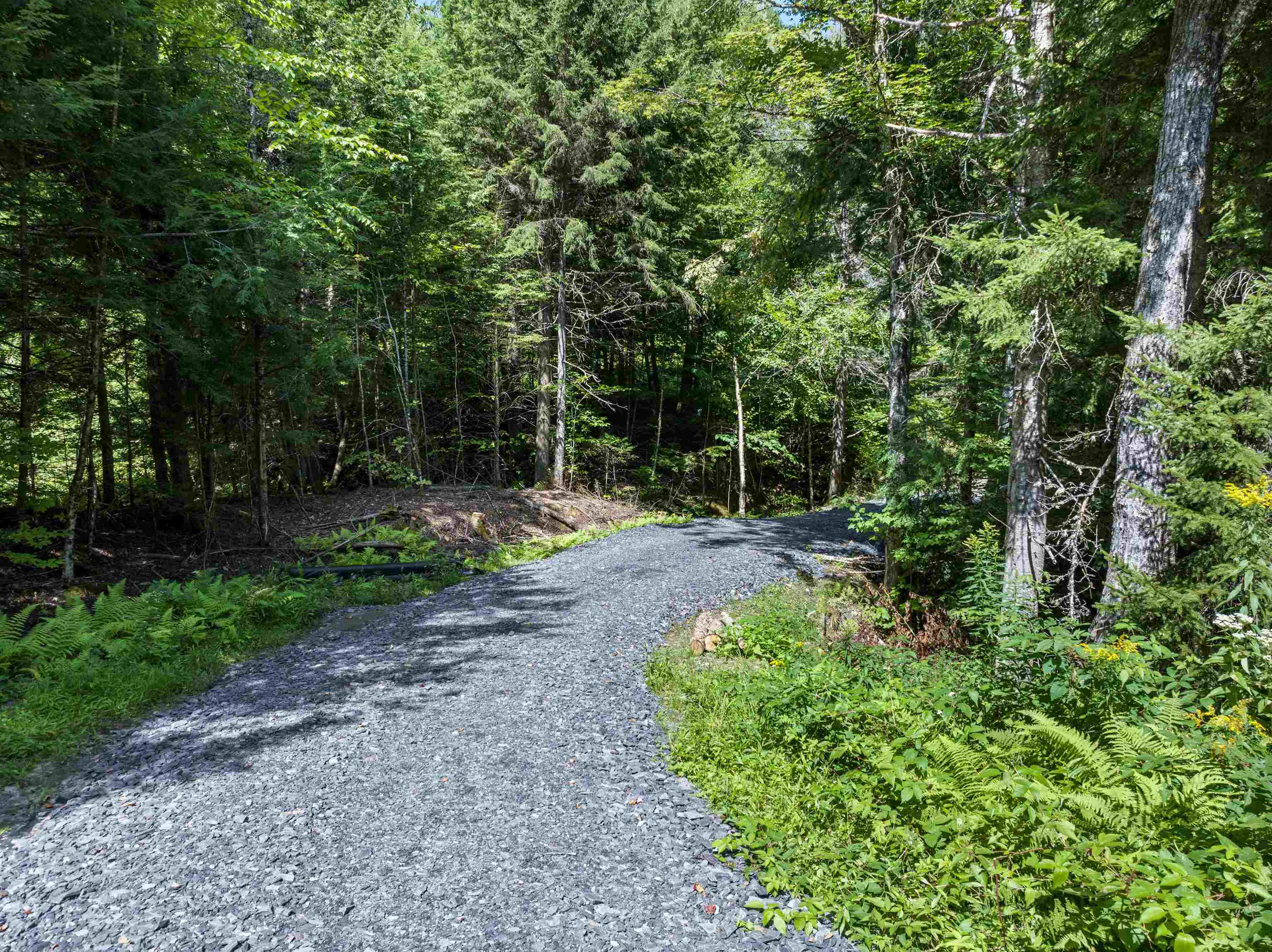 245 Murray Road photo 12