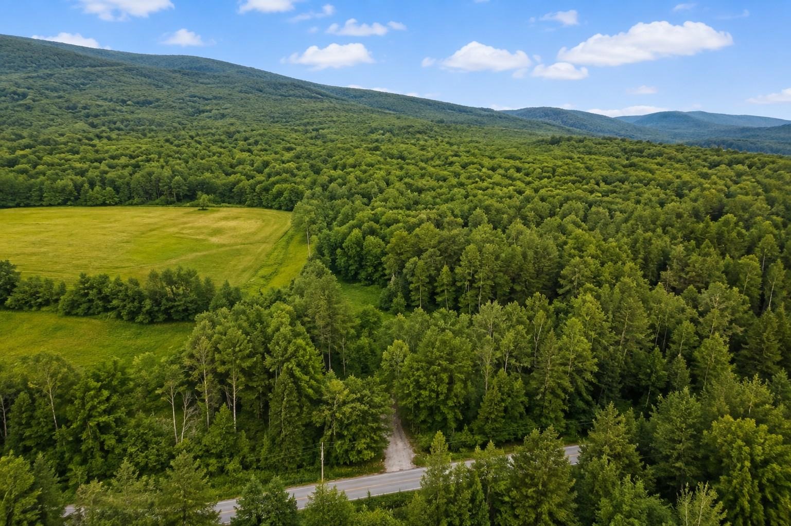 231 VT Route 100 photo 29