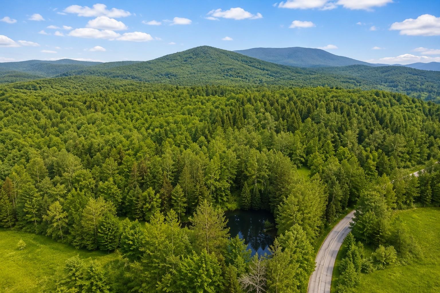 231 VT Route 100 photo 30