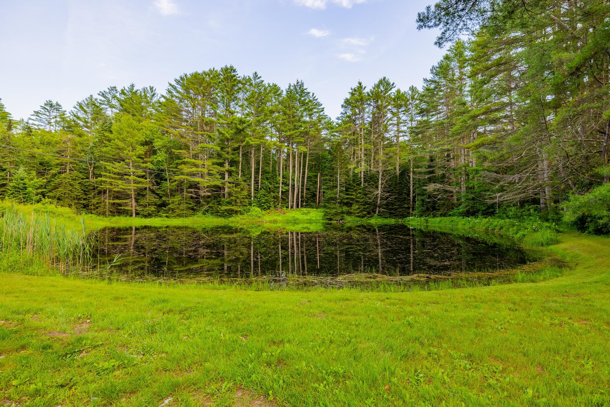 231 VT Route 100 photo 49