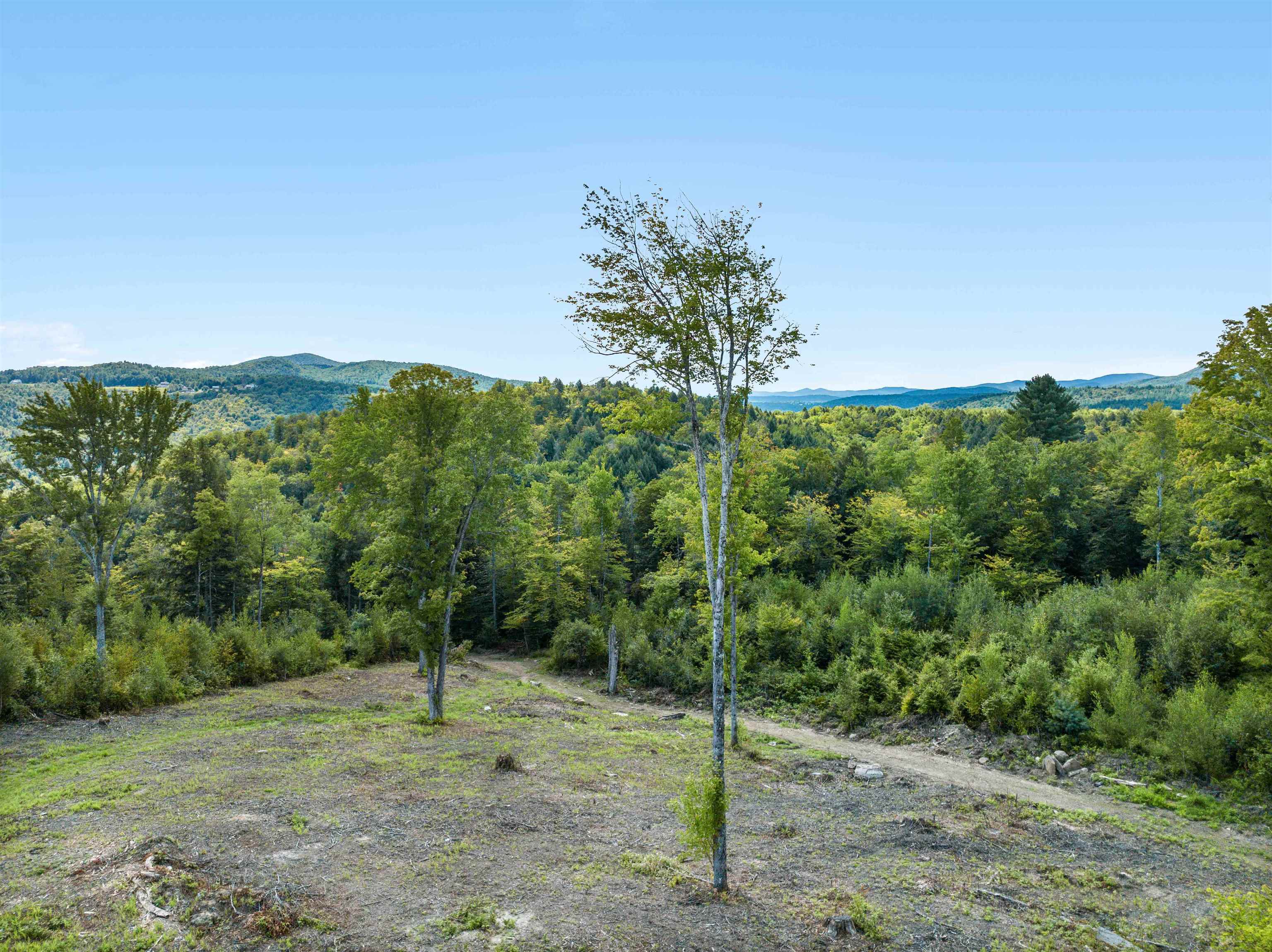 245 Murray Road photo 5