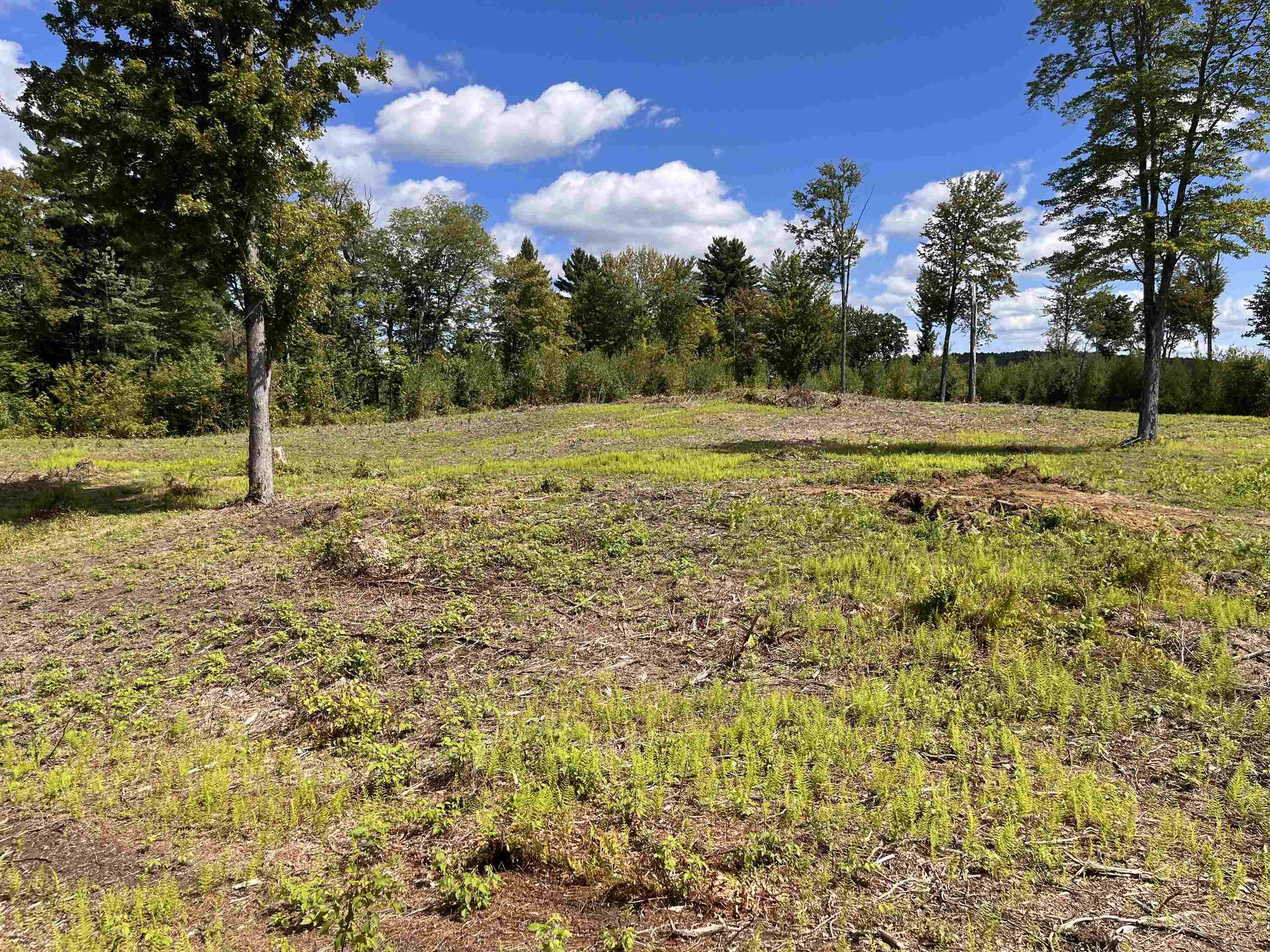 245 Murray Road photo 6