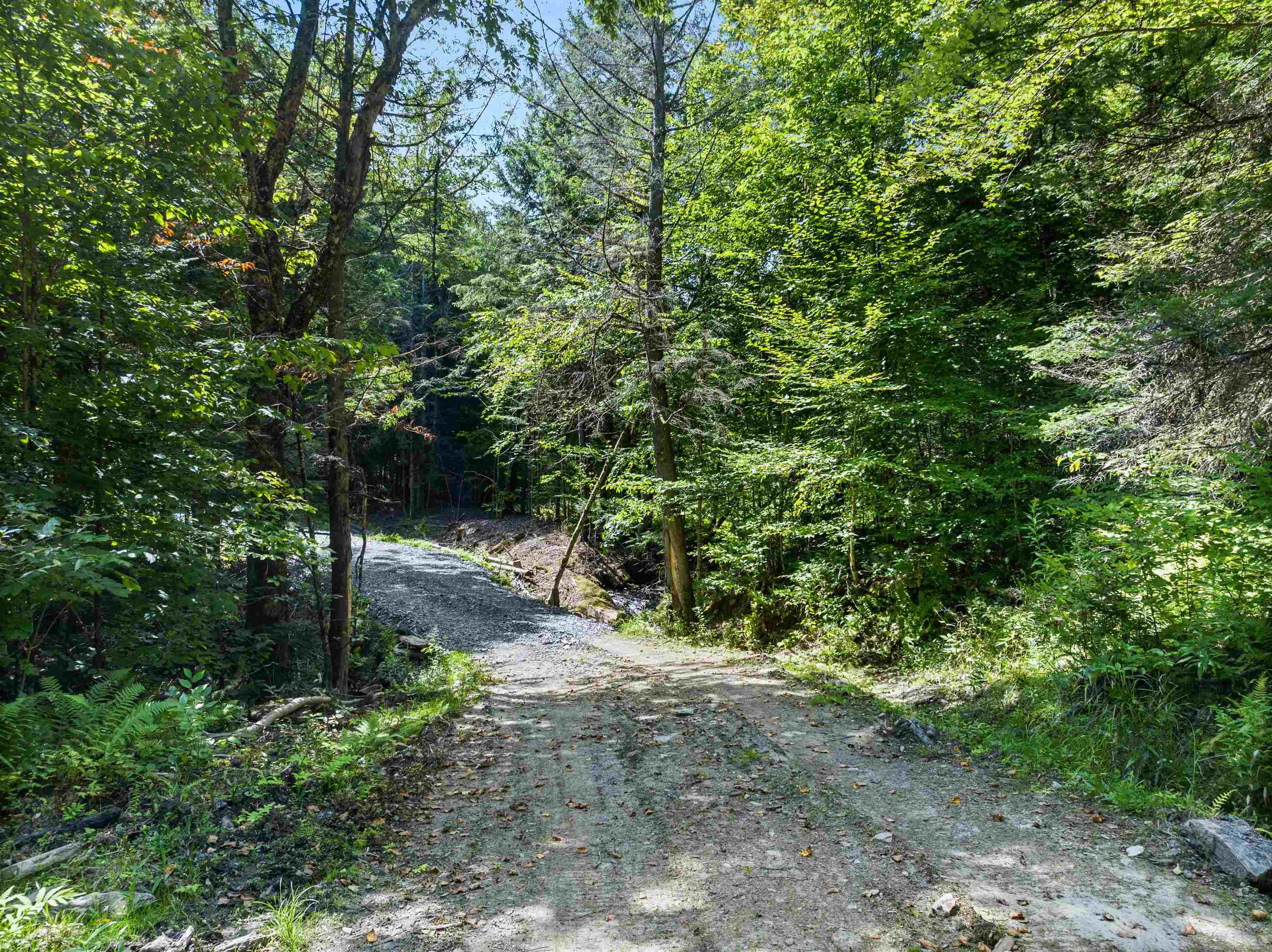 245 Murray Road photo 9