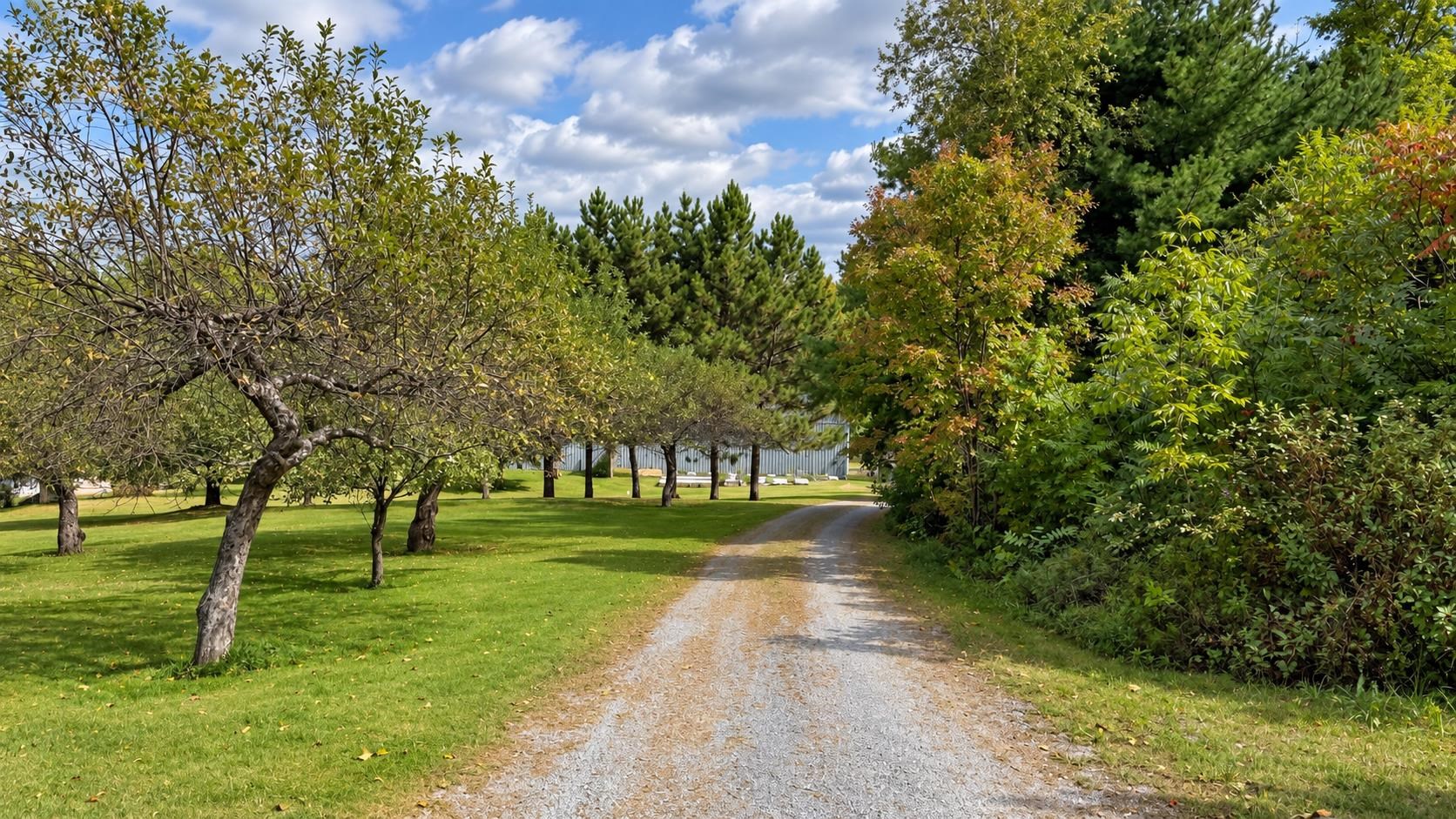 2367 Hollow Road photo 29